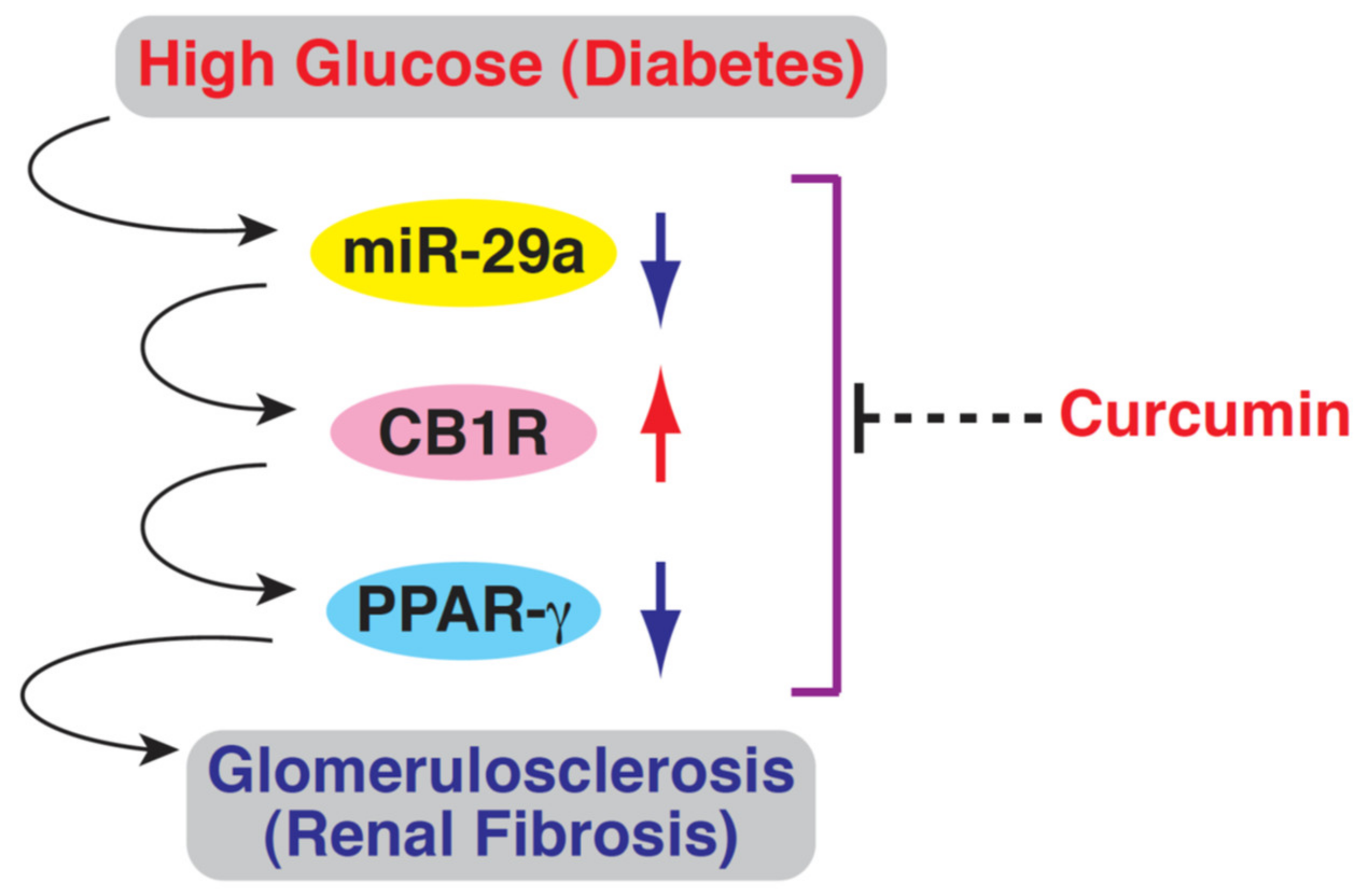 Processes 09 00694 g006