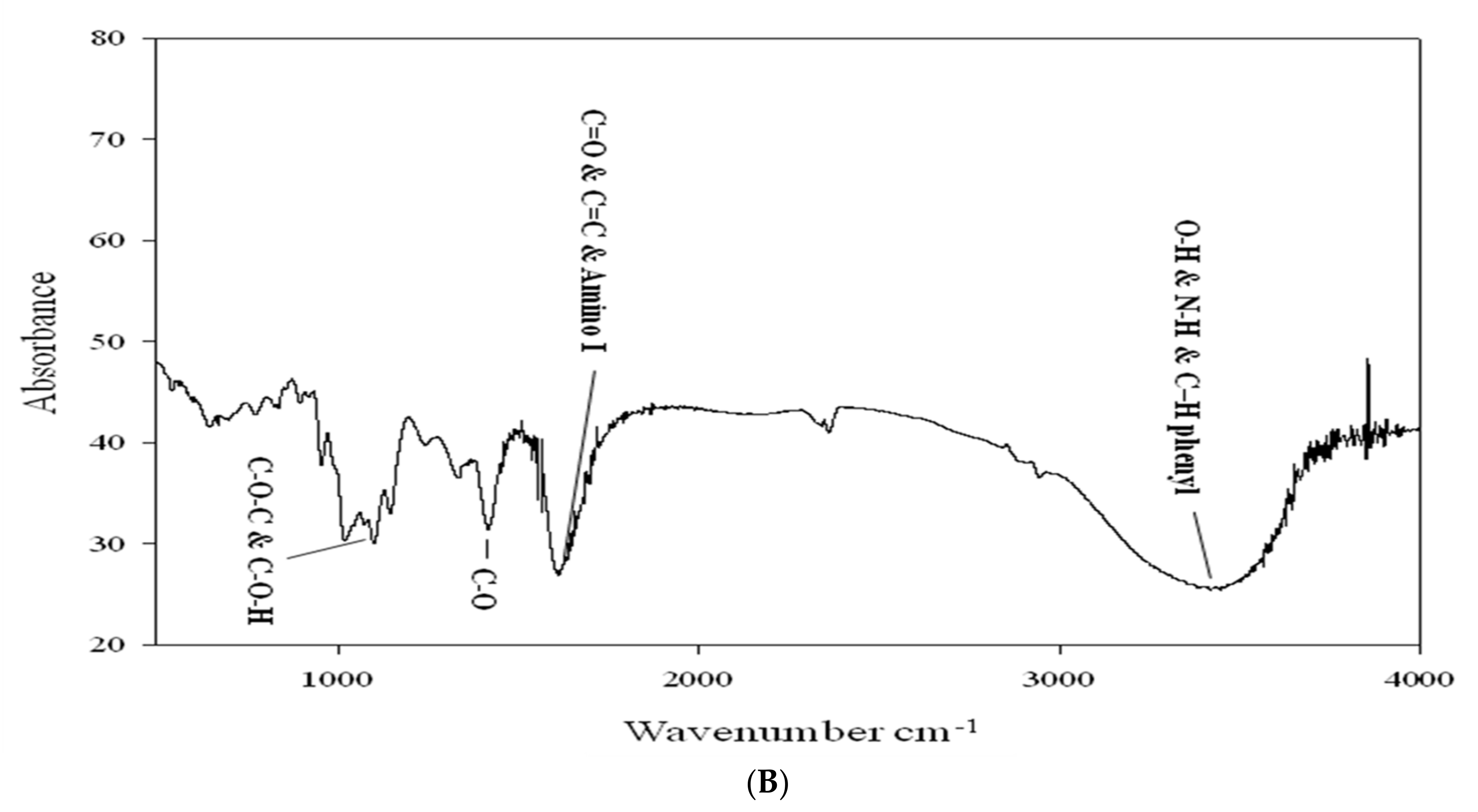 Processes 09 00709 g005b