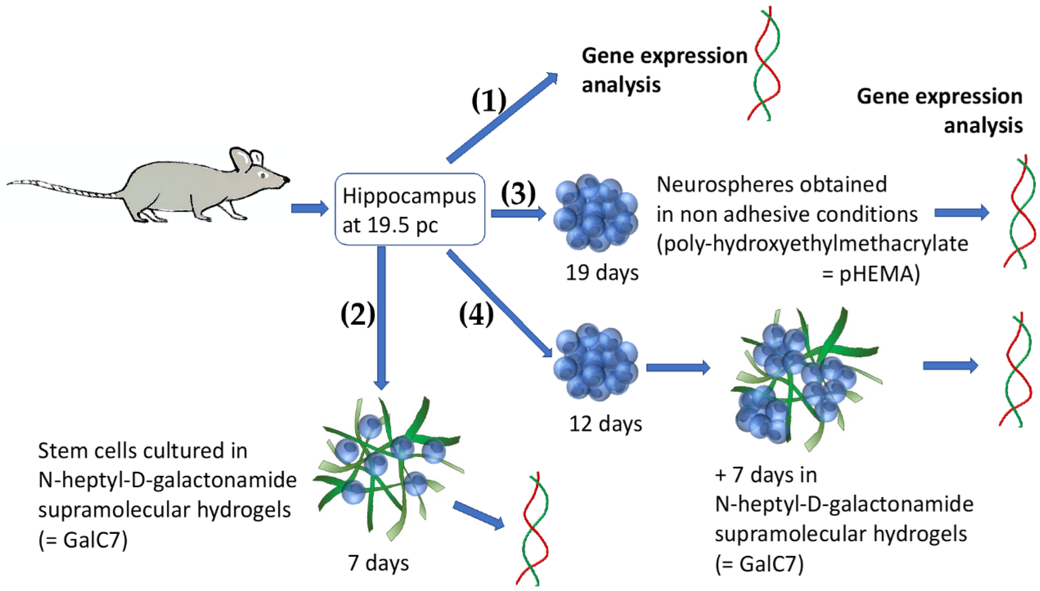 Processes 09 00716 g001