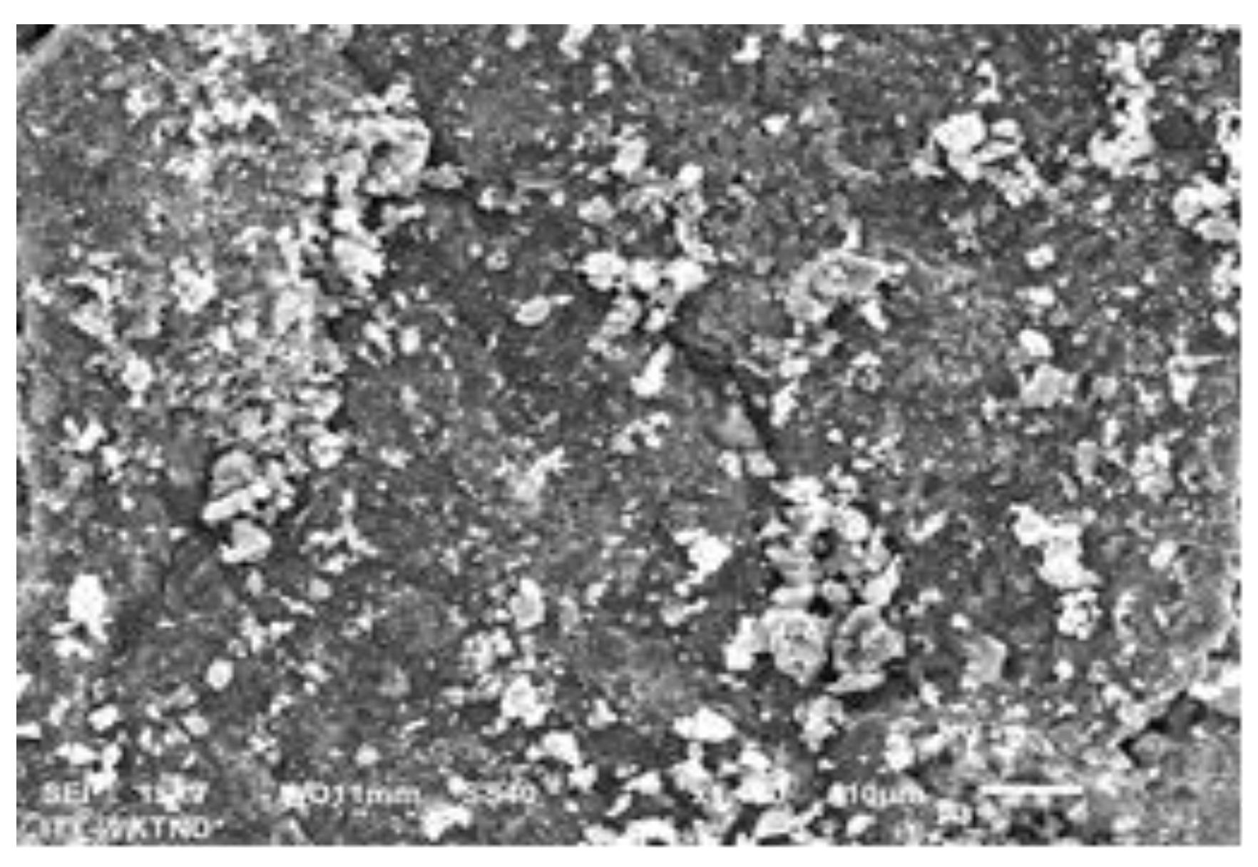 Processes 09 00720 g001