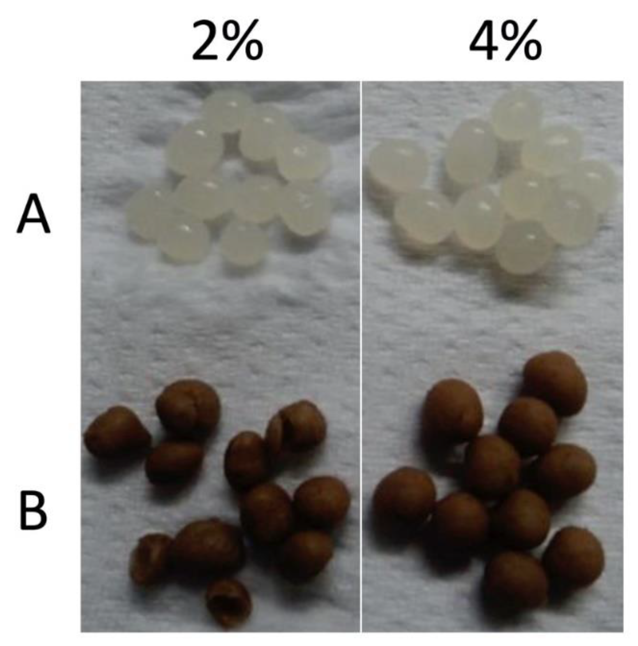 Processes 09 00724 g001
