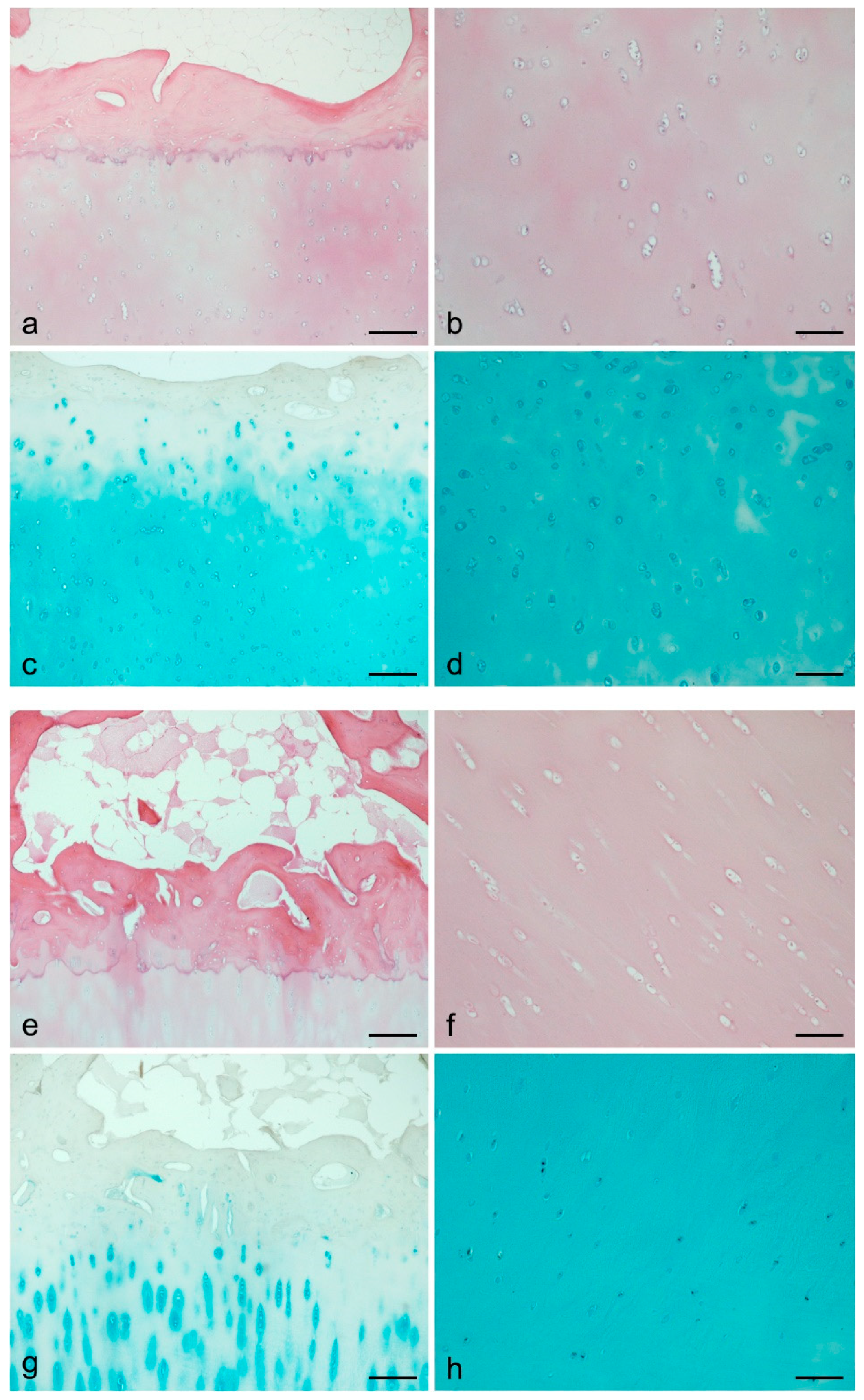 Processes 09 00730 g002