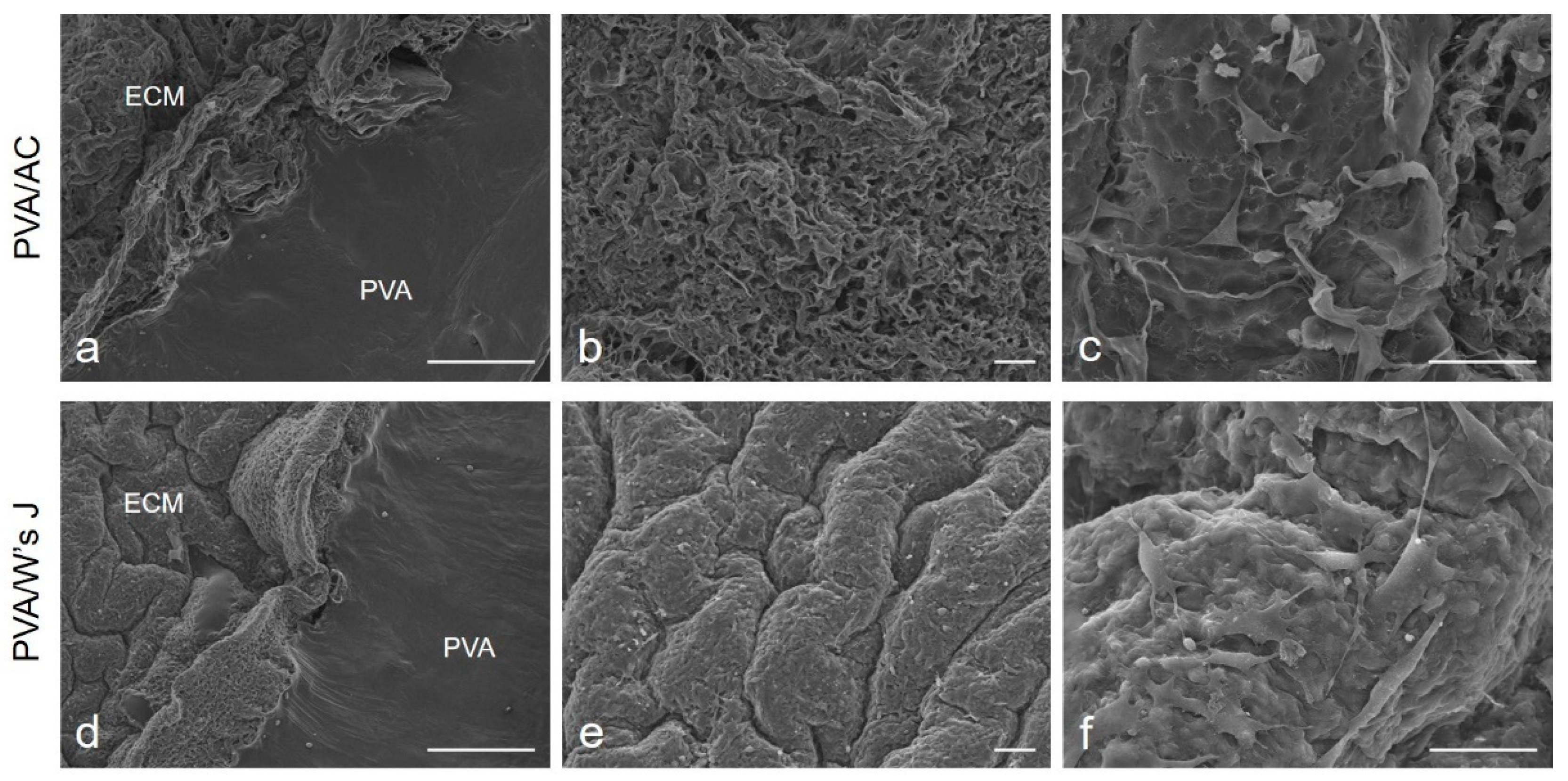 Processes 09 00730 g004
