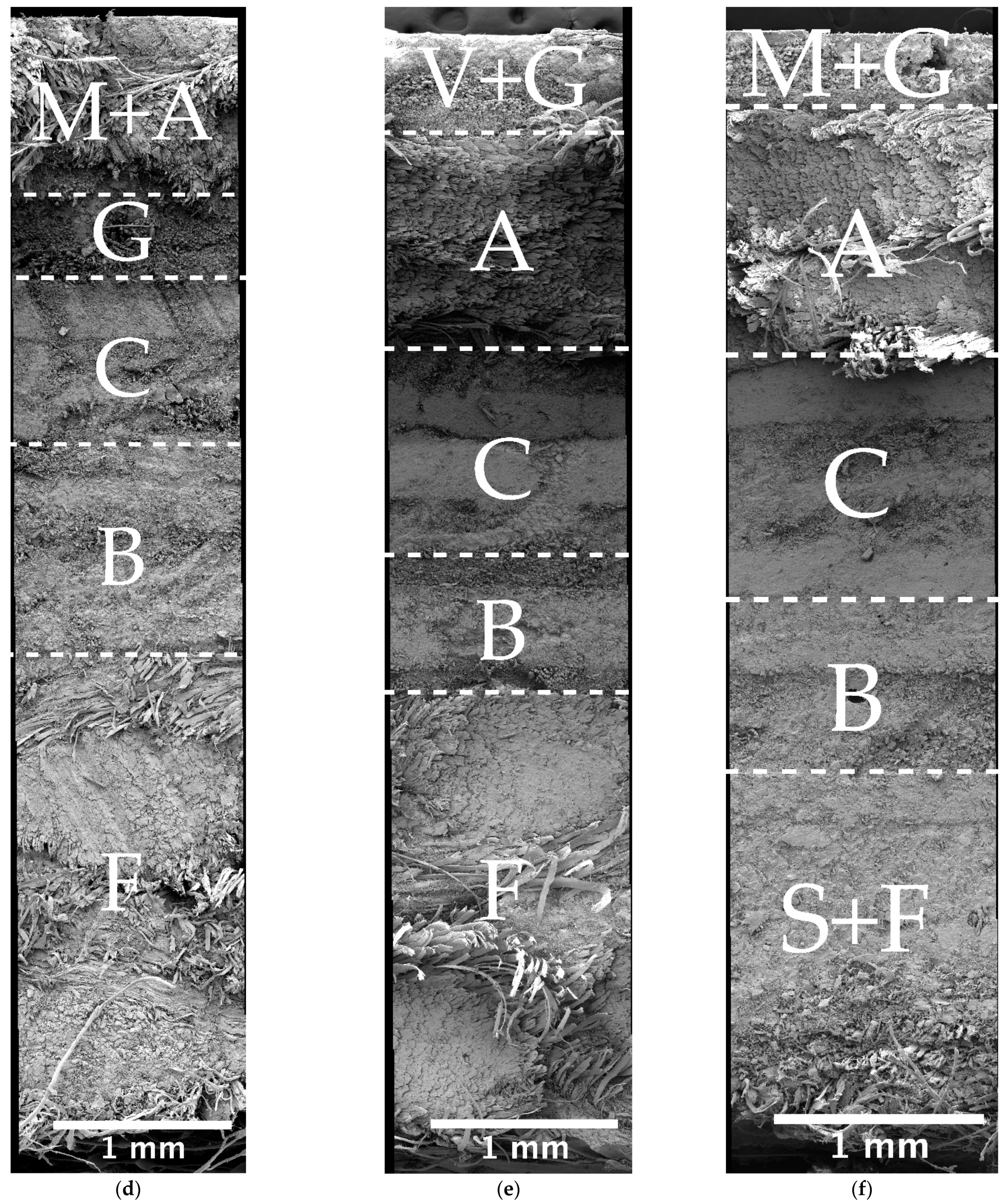 Processes 09 00738 g001b Processes 09 00738 g001b