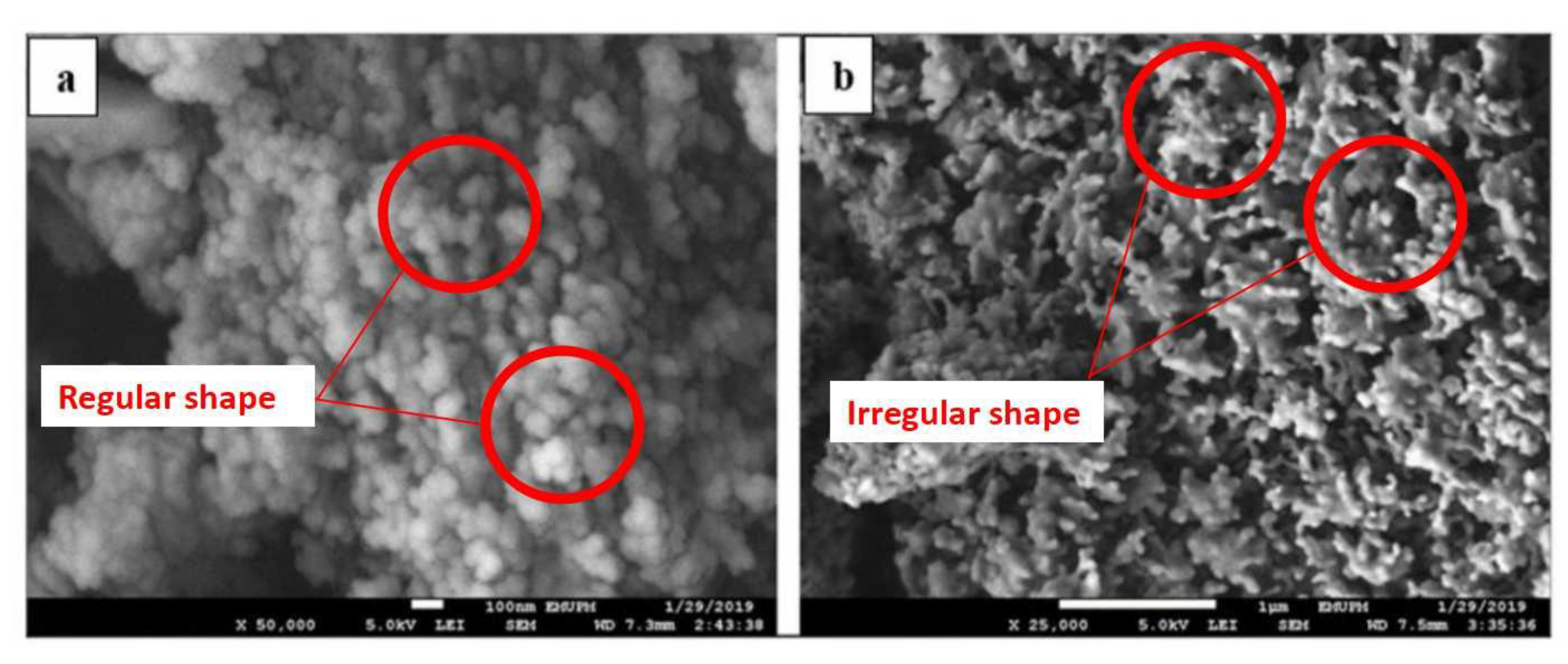 Processes 09 00750 g006