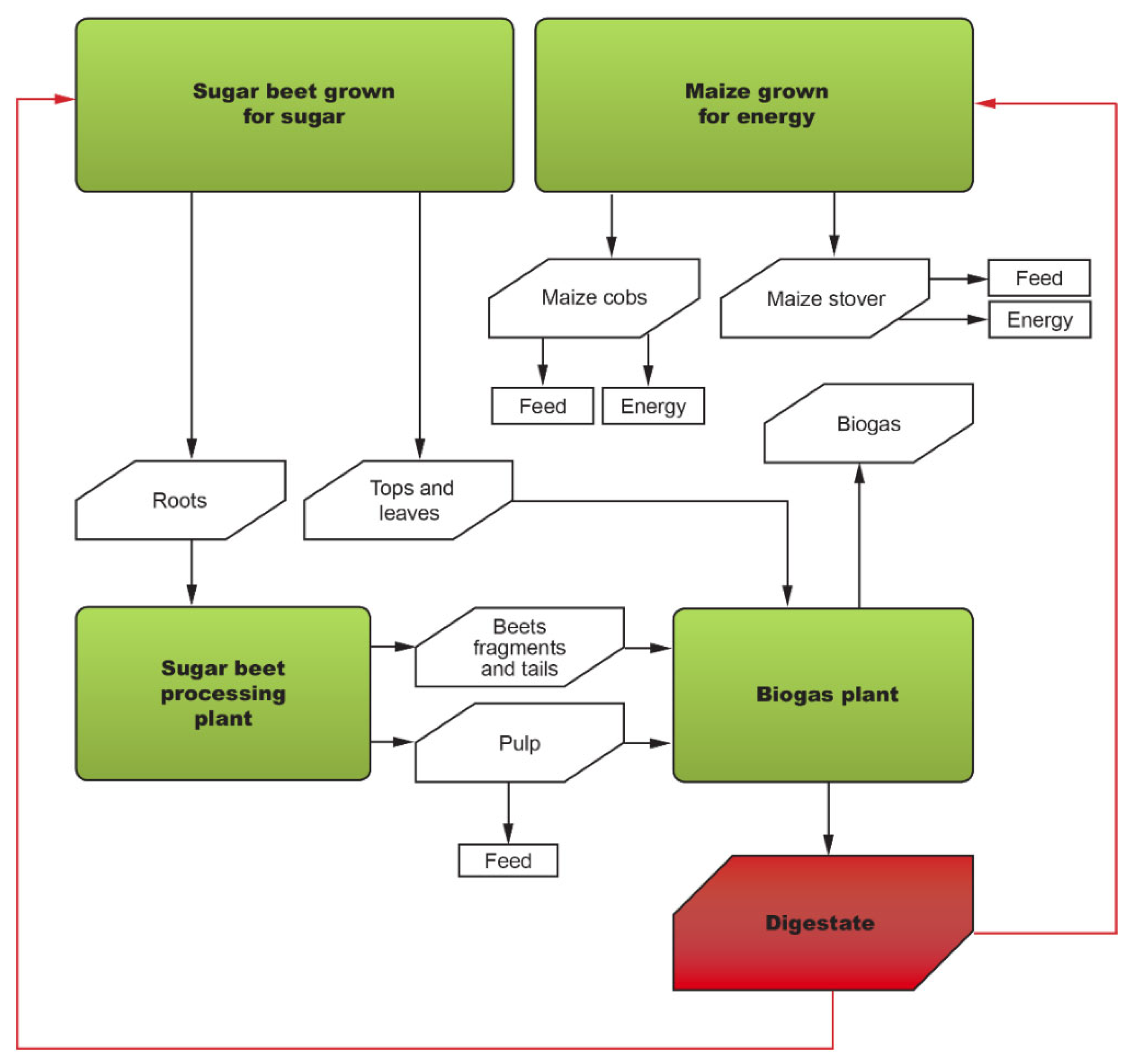 Processes 09 00765 g011