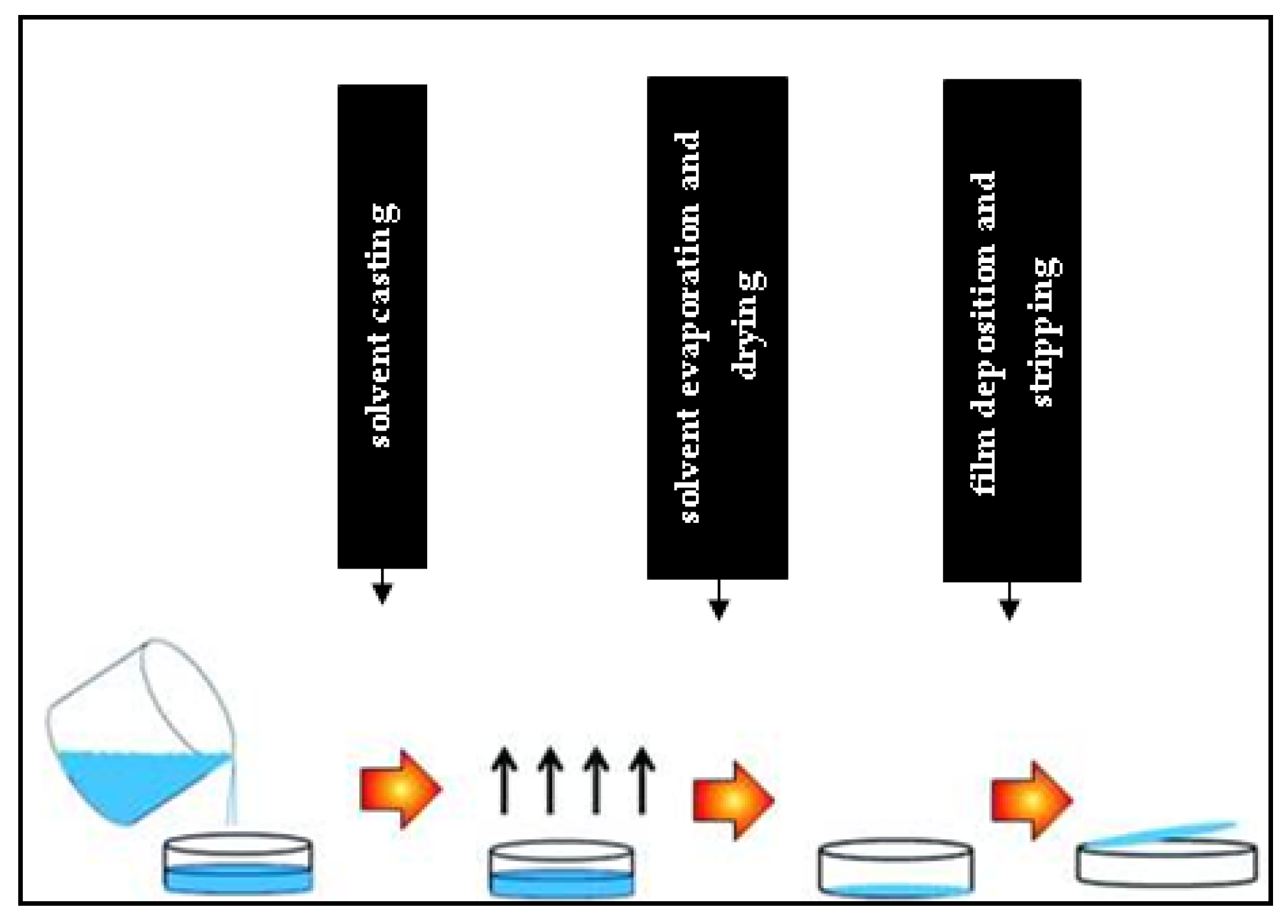 Processes 09 00778 g002