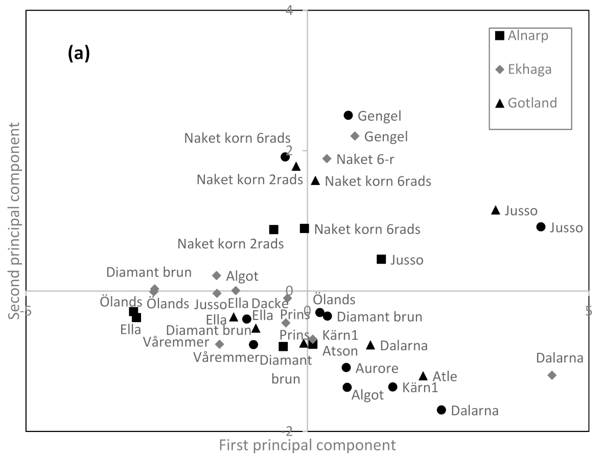Processes 09 00783 g001a