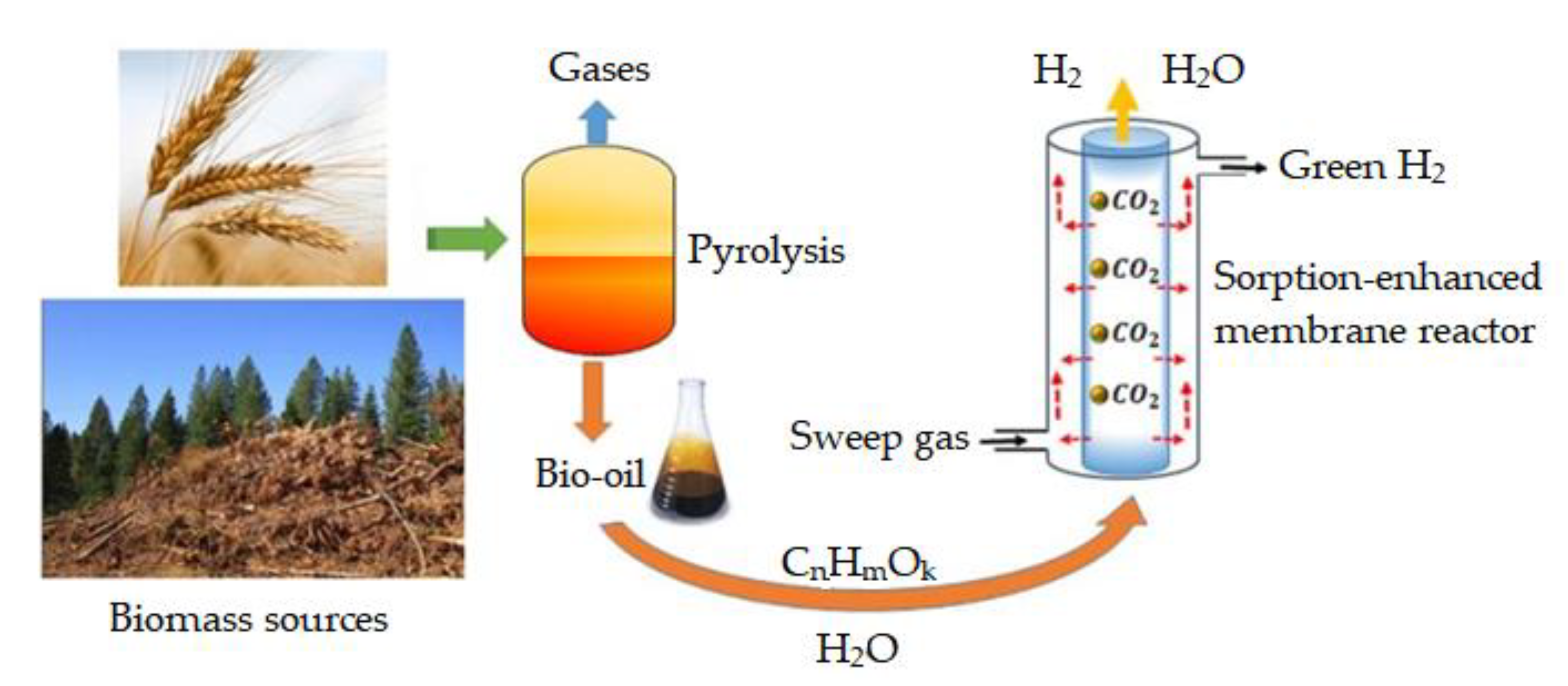Processes 09 00797 g003