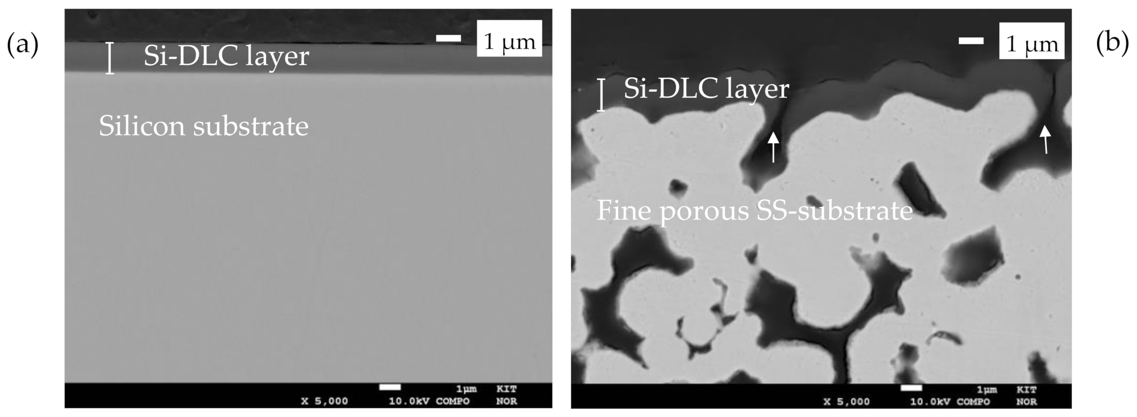 Processes 09 00809 g005