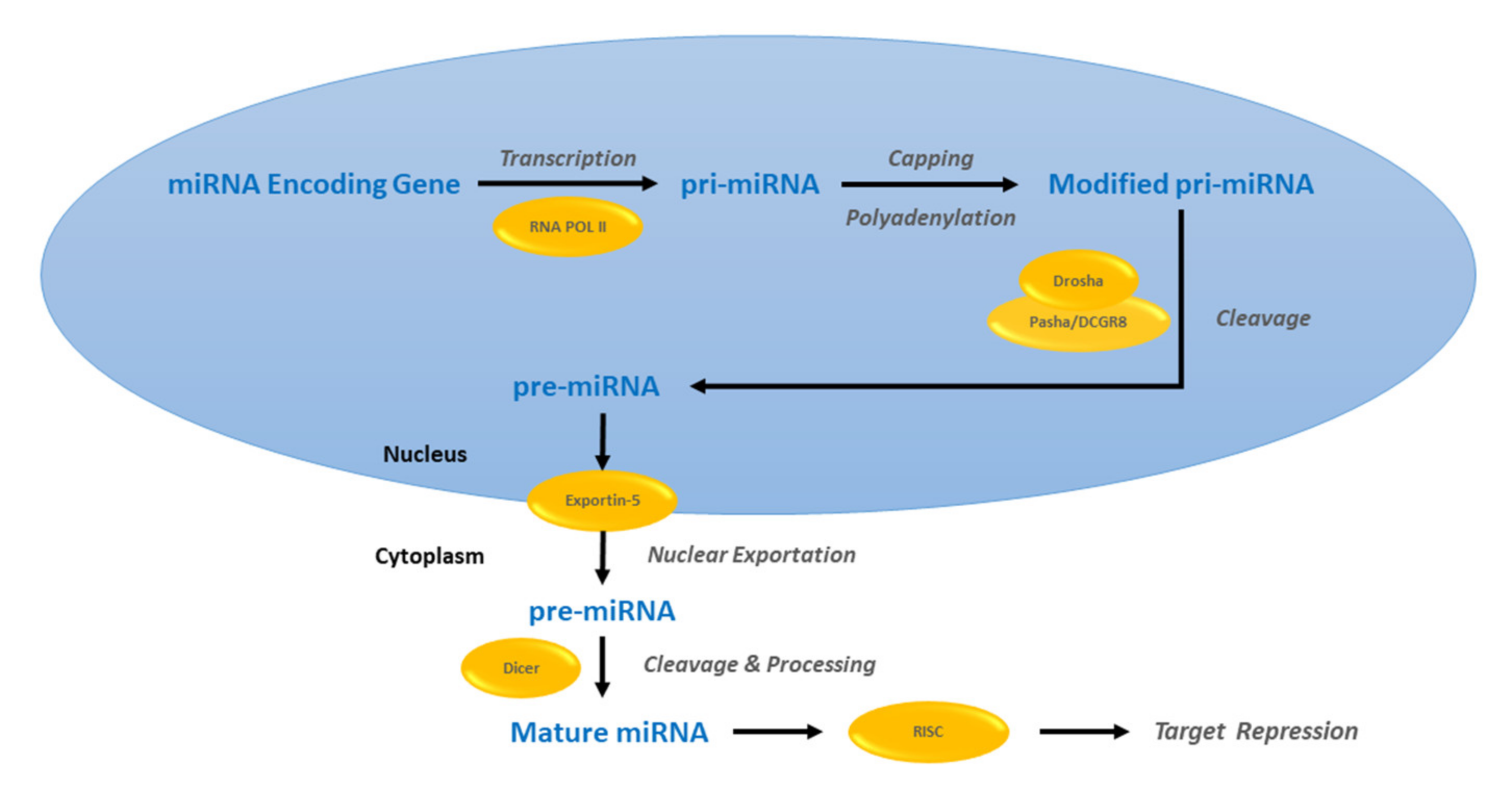 Processes 09 00819 g001