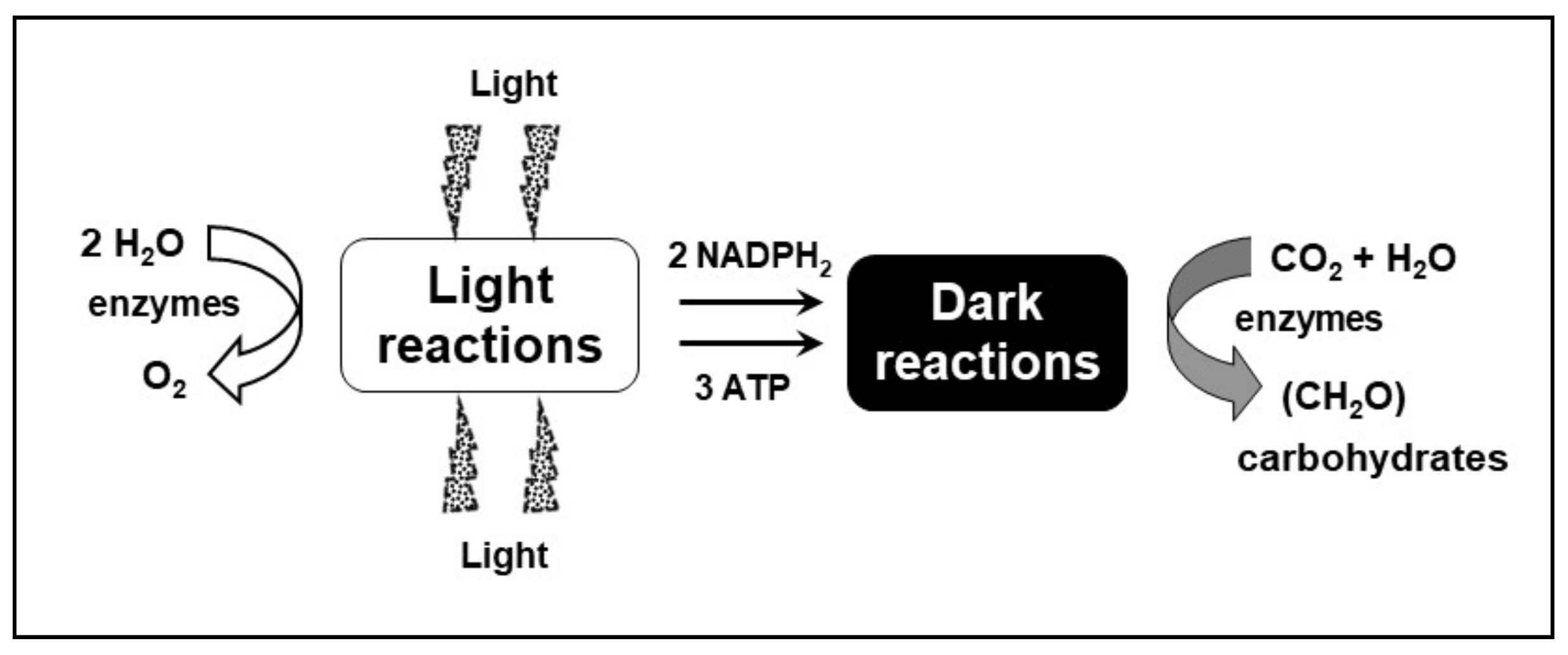 Processes 09 00820 g002