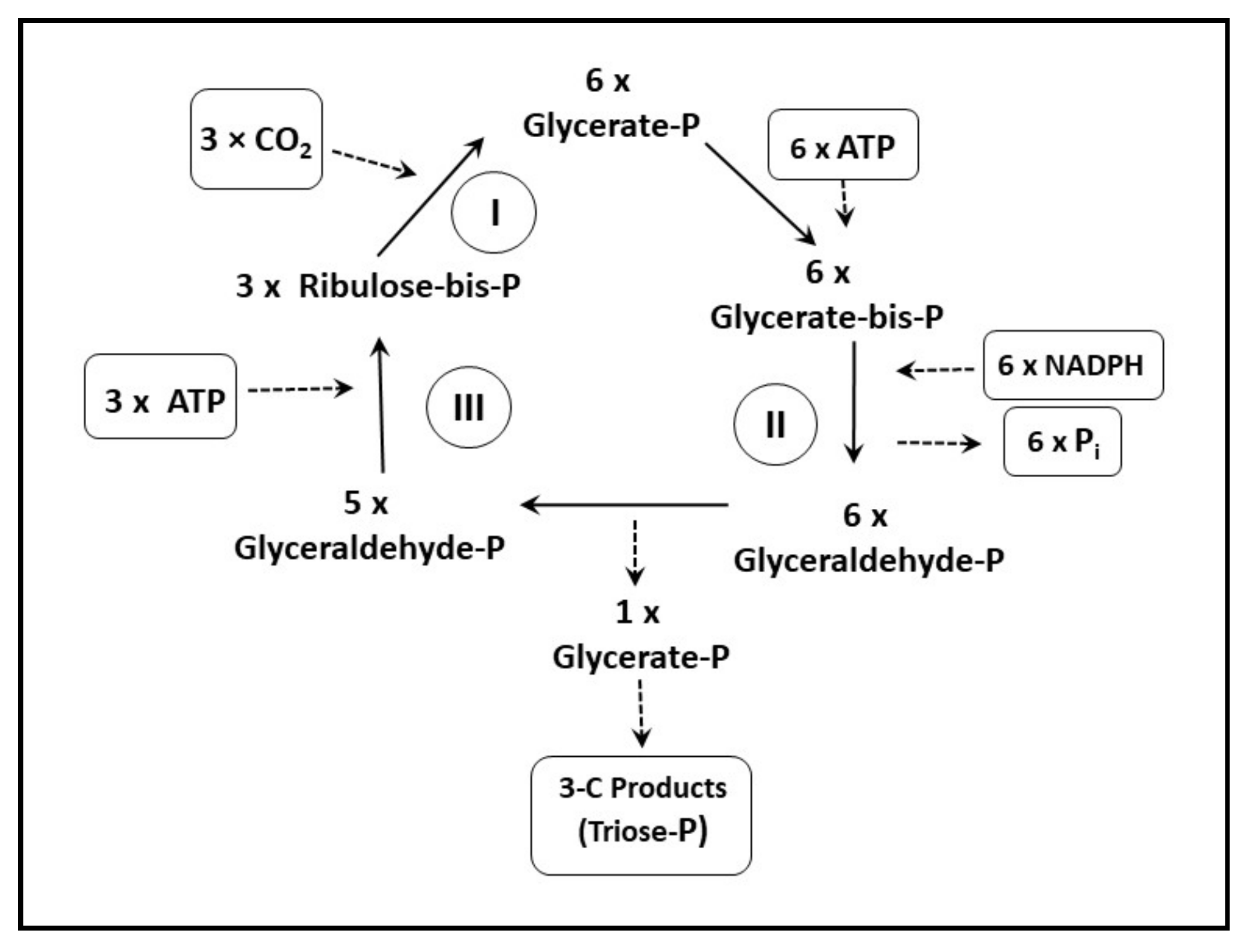 Processes 09 00820 g003