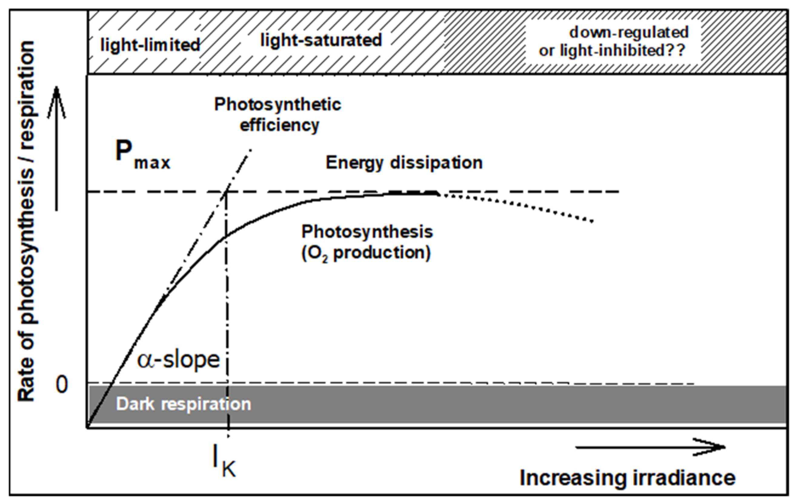 Processes 09 00820 g004