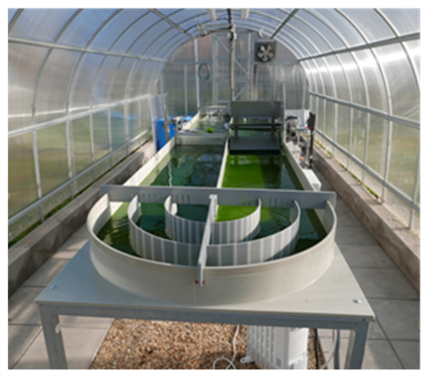 Processes 09 00820 g006