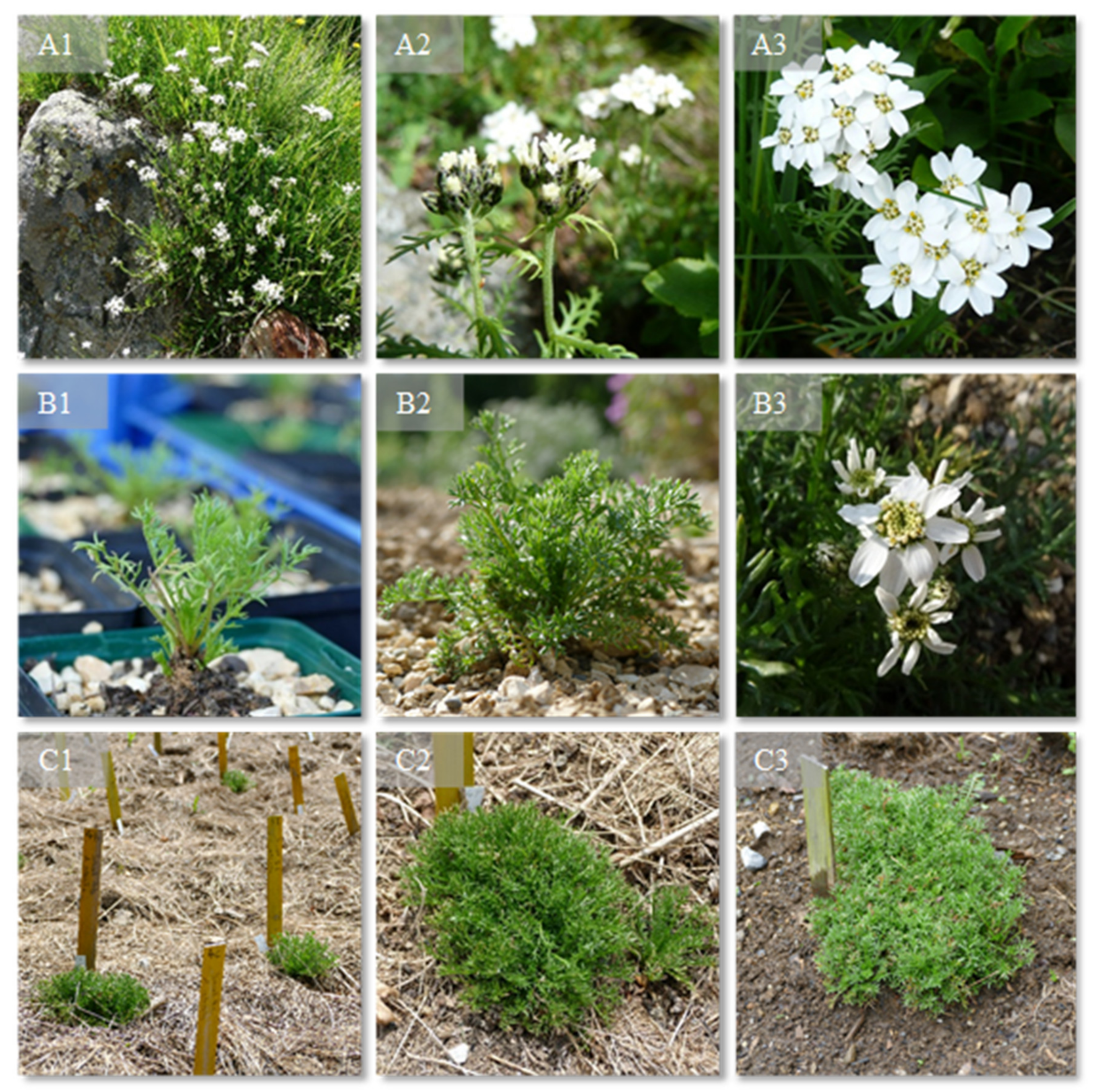 Processes 09 00853 g001 Processes 09 00853 g001