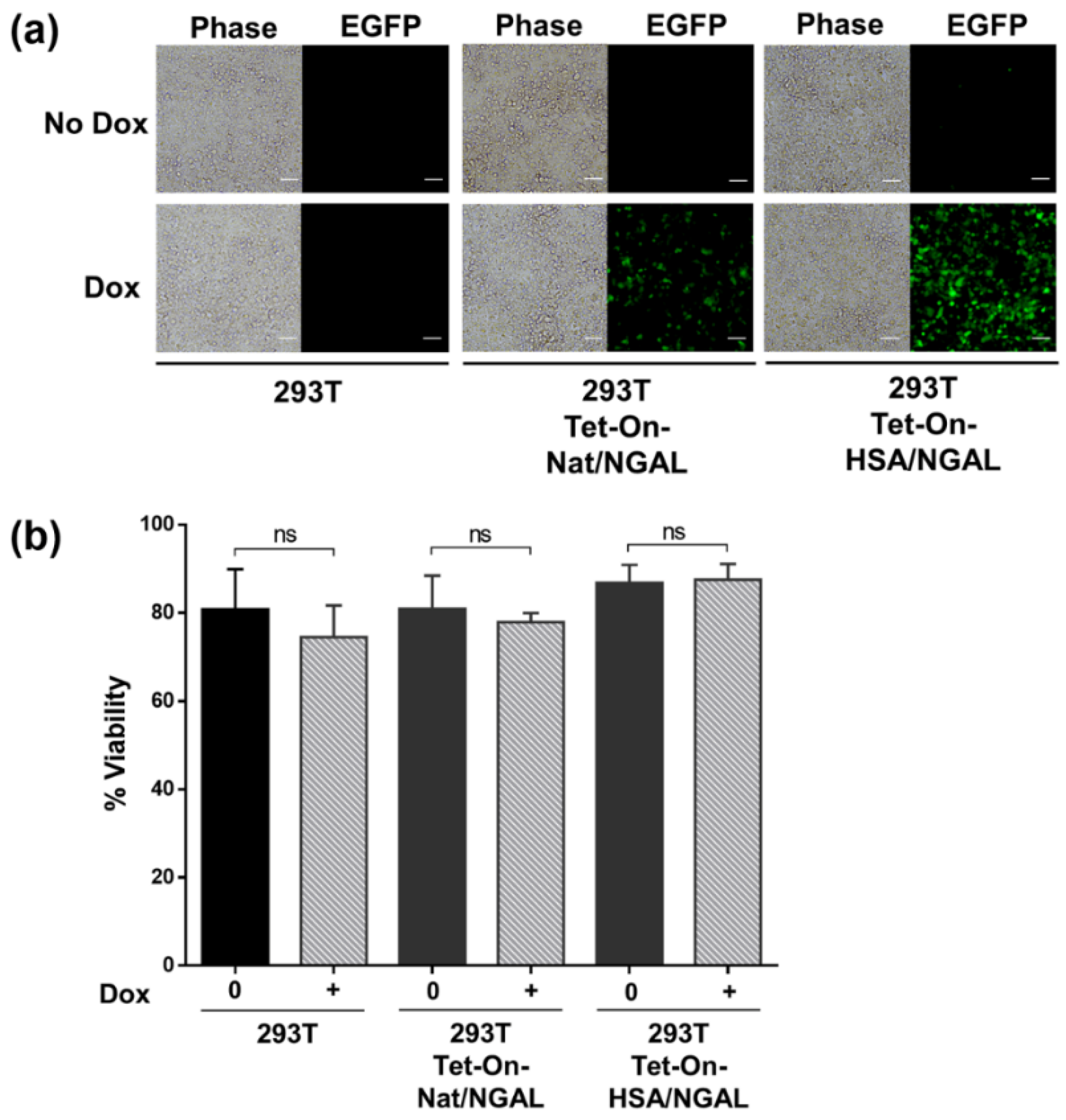 Processes 09 00855 g002