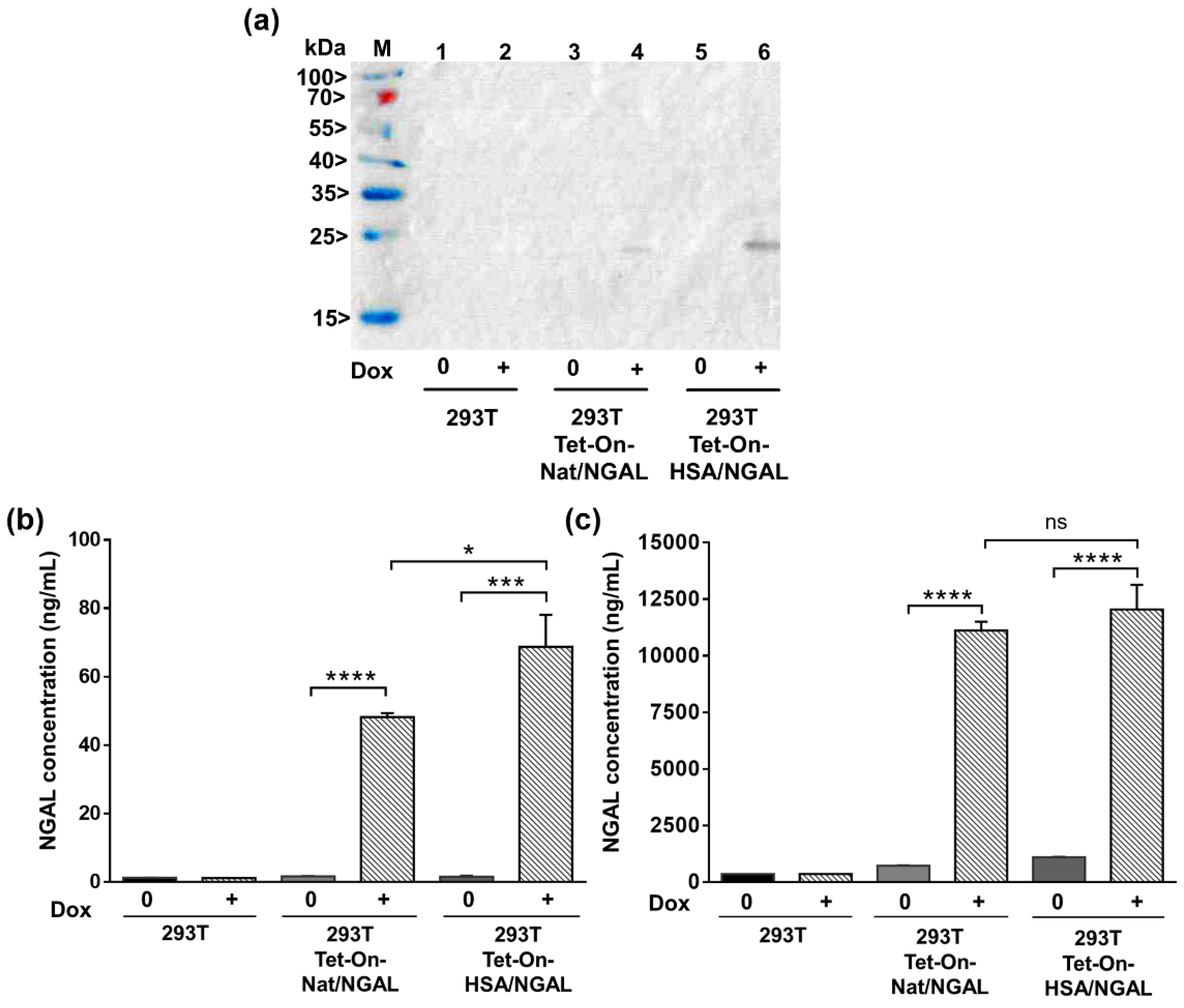 Processes 09 00855 g004