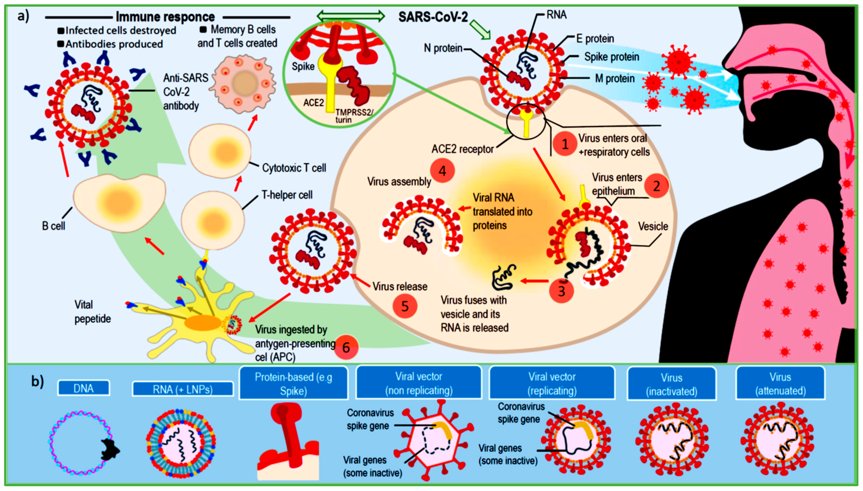 Processes 09 00865 g010