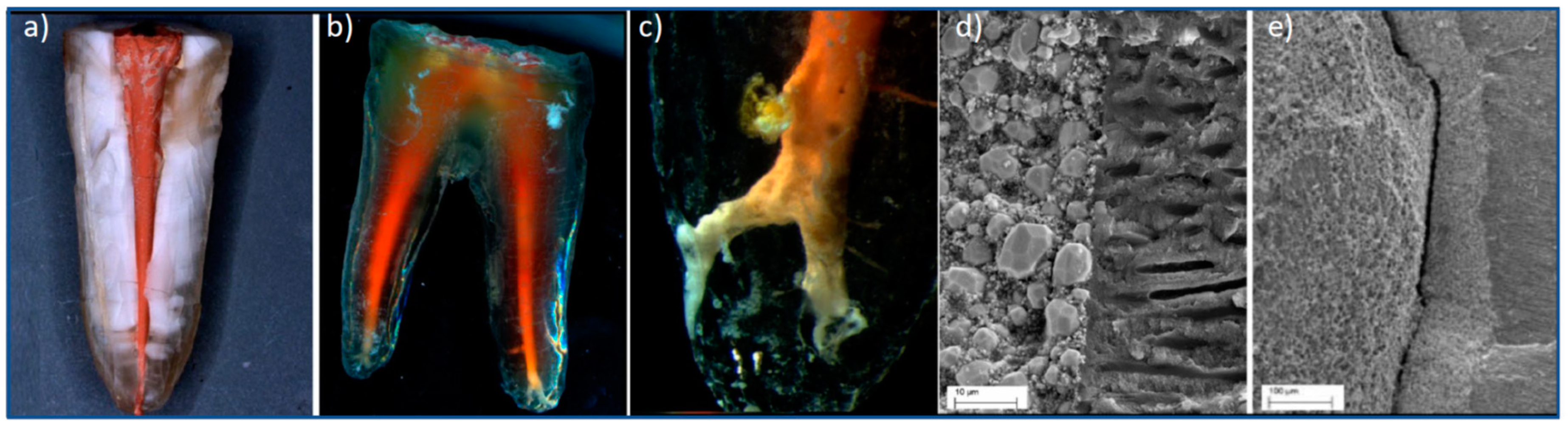 Processes 09 00865 g033
