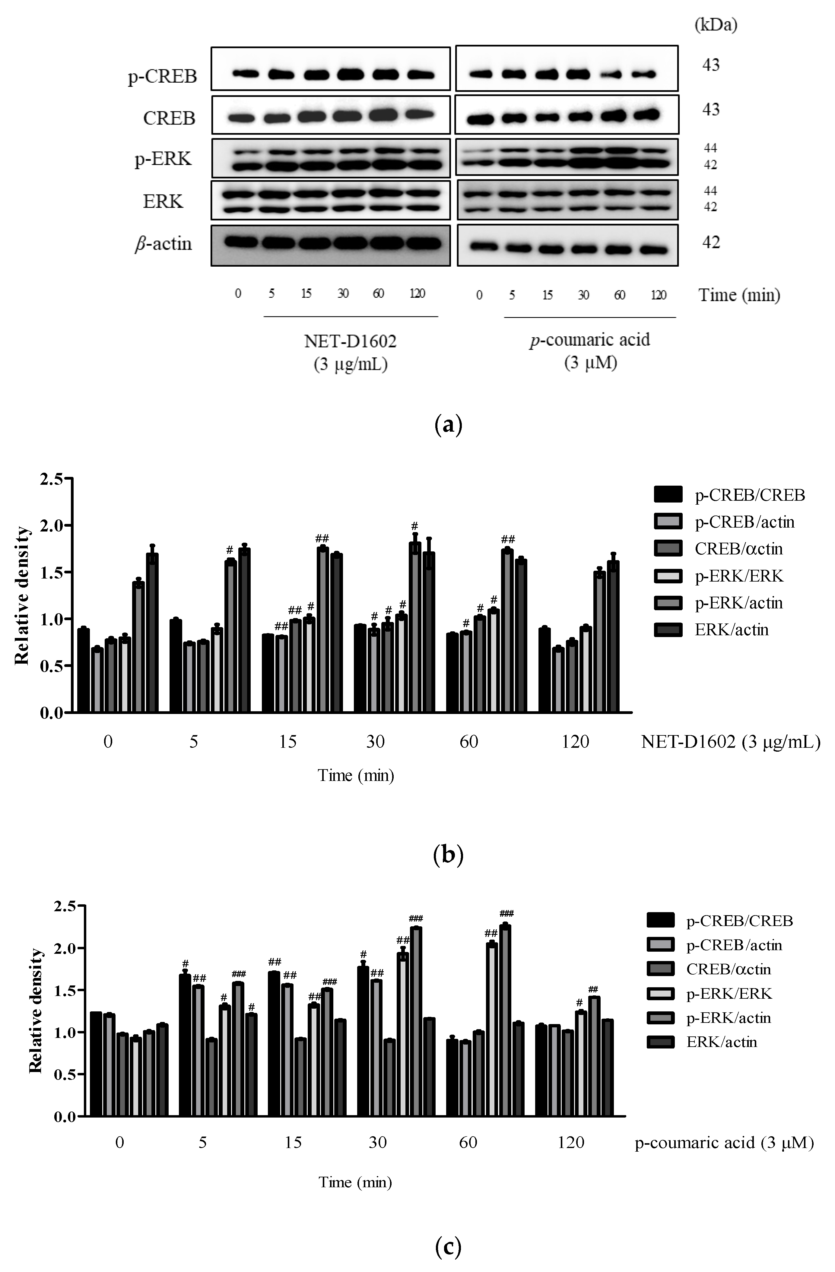 Processes 09 00869 g005
