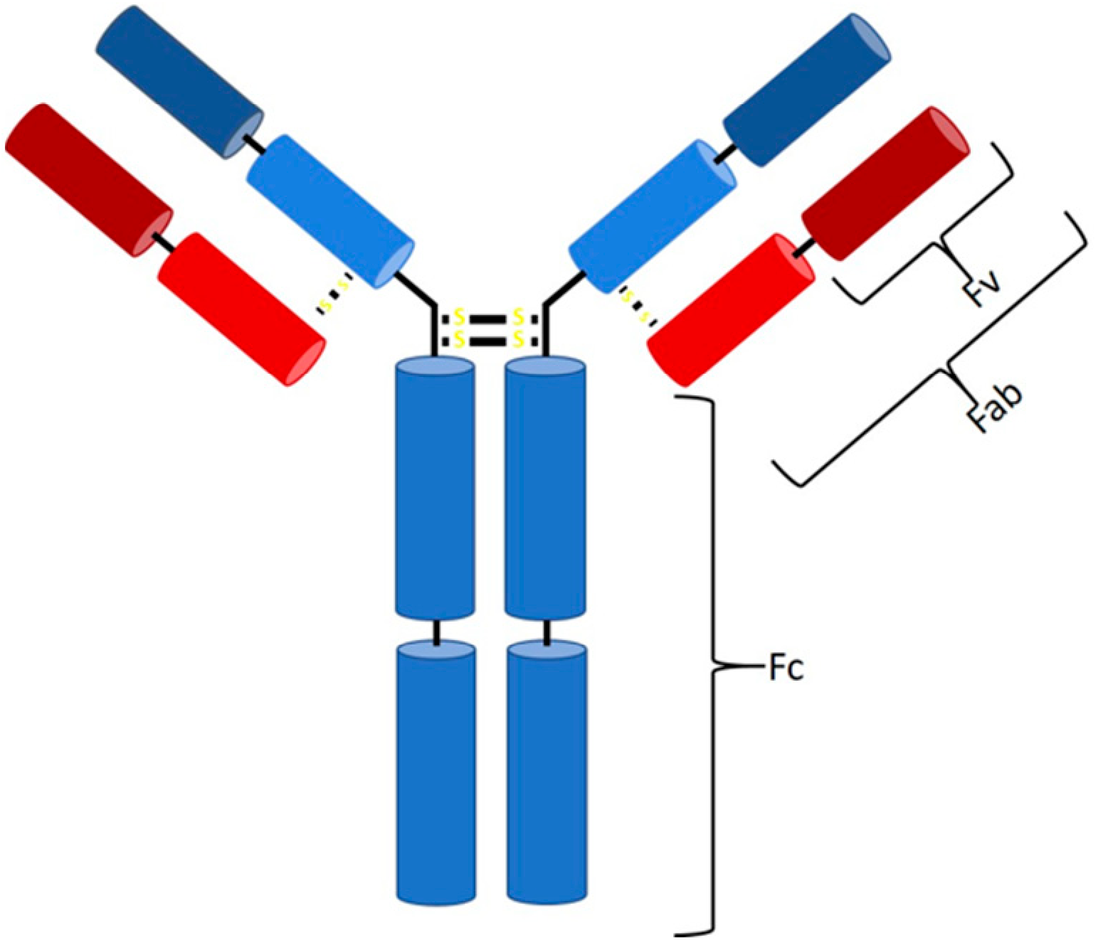 Processes 09 00874 g001 Processes 09 00874 g001