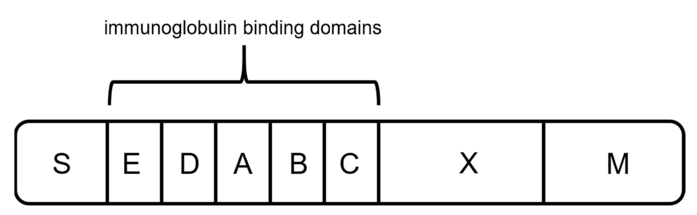 Processes 09 00874 g004 Processes 09 00874 g004