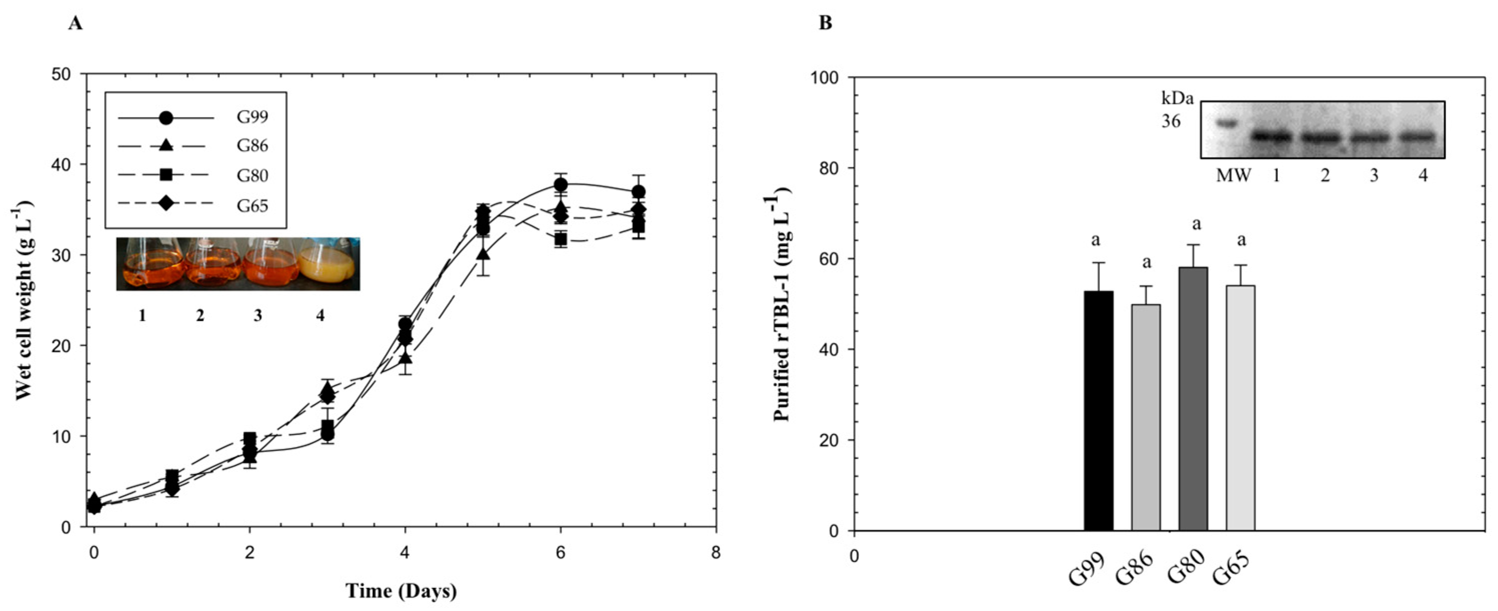 Processes 09 00876 g002