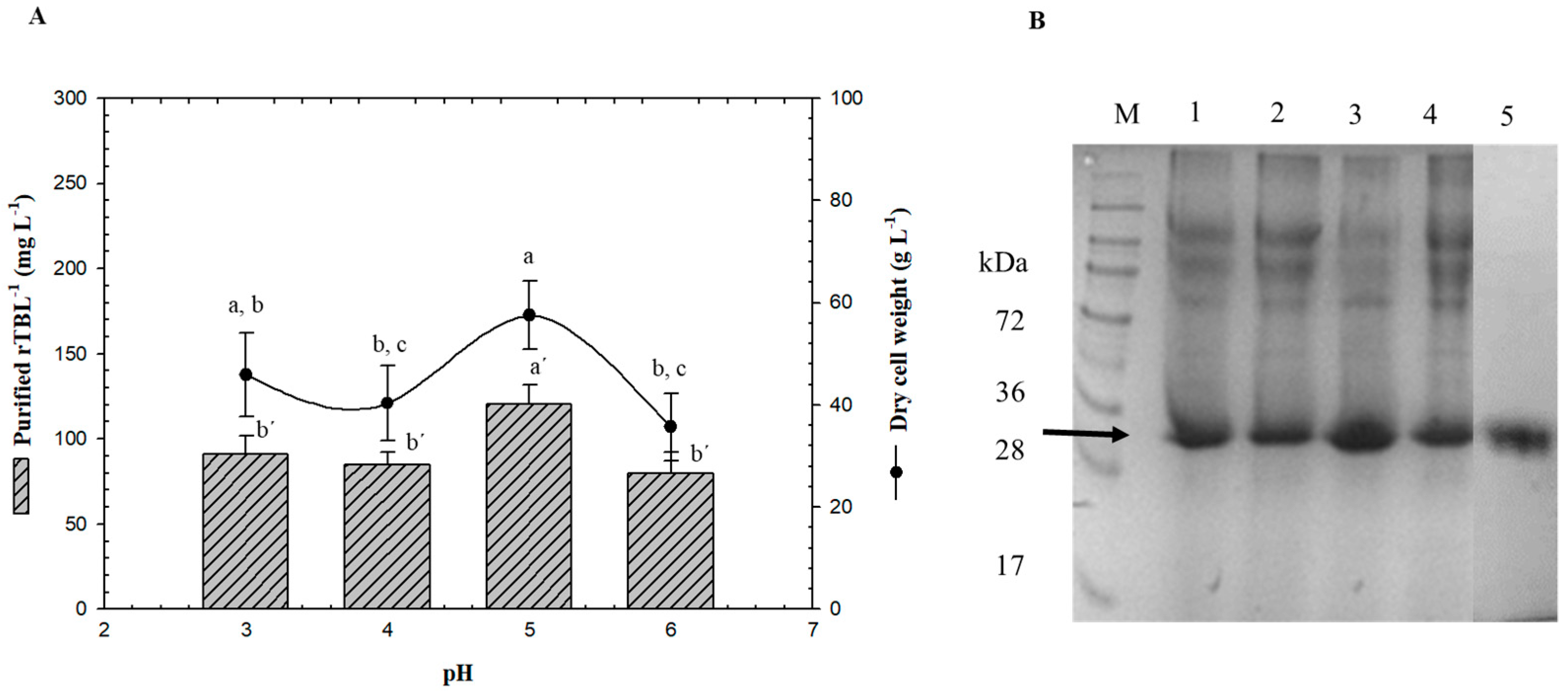 Processes 09 00876 g003