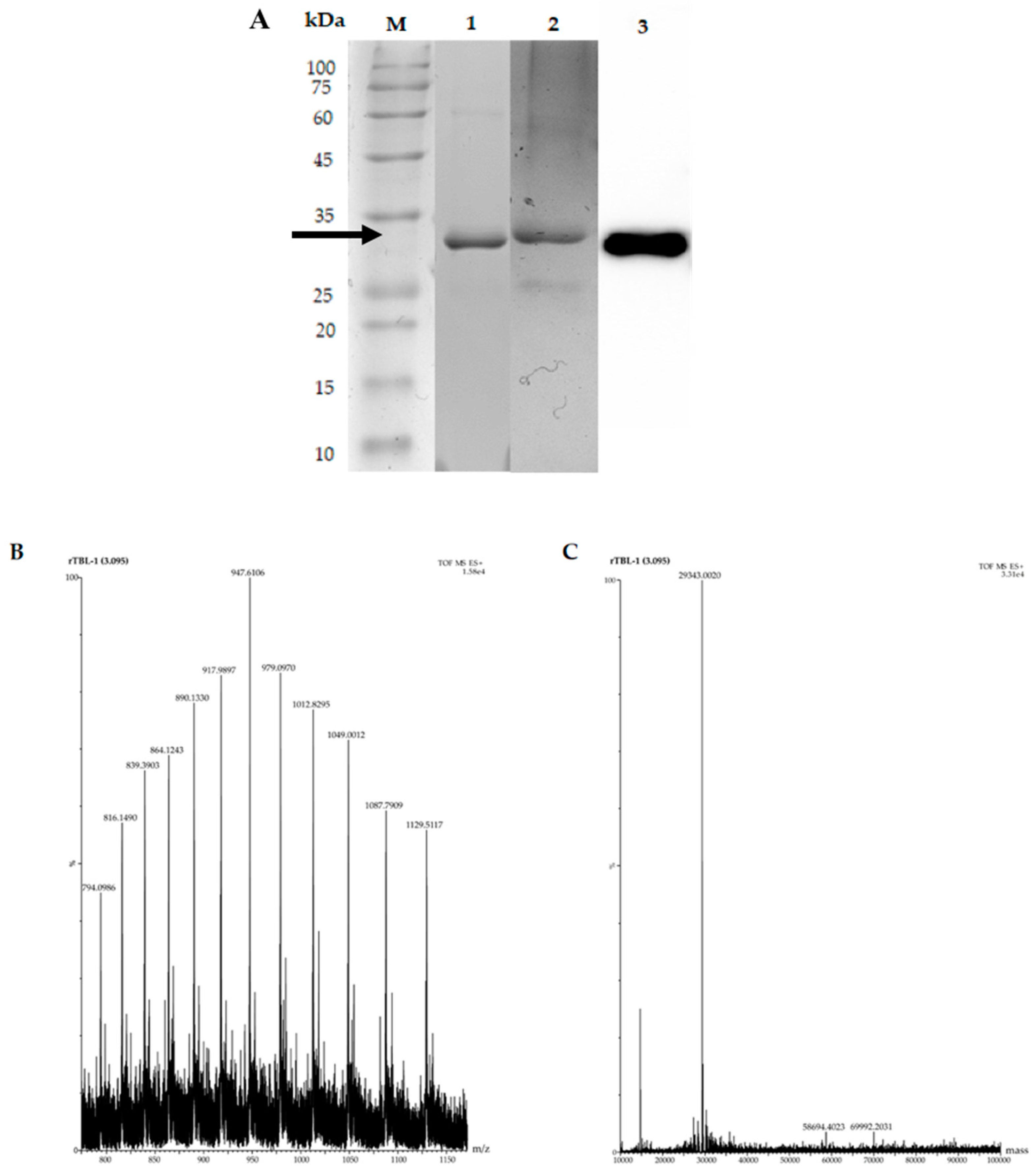 Processes 09 00876 g005