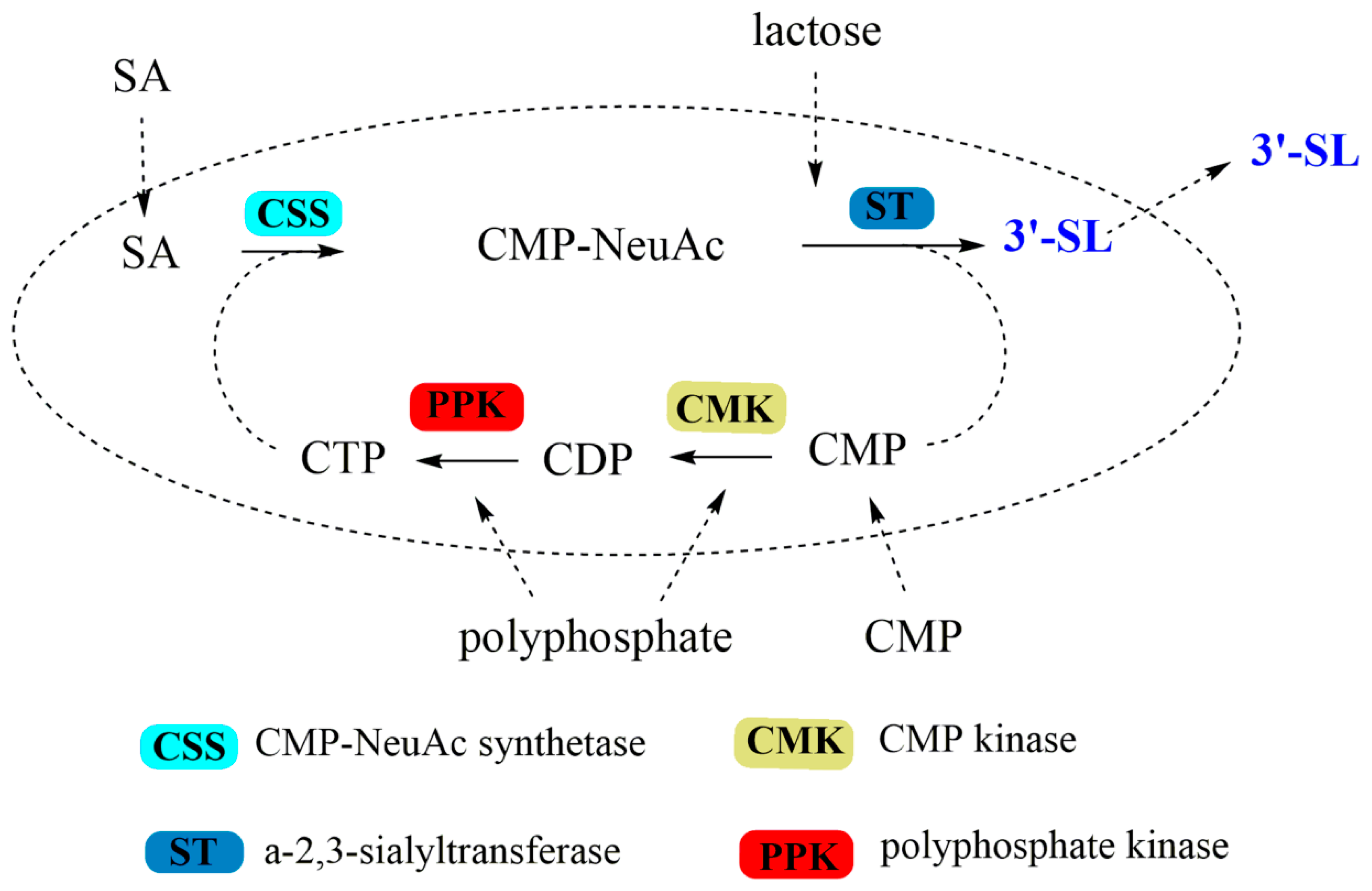 Processes 09 00932 g001
