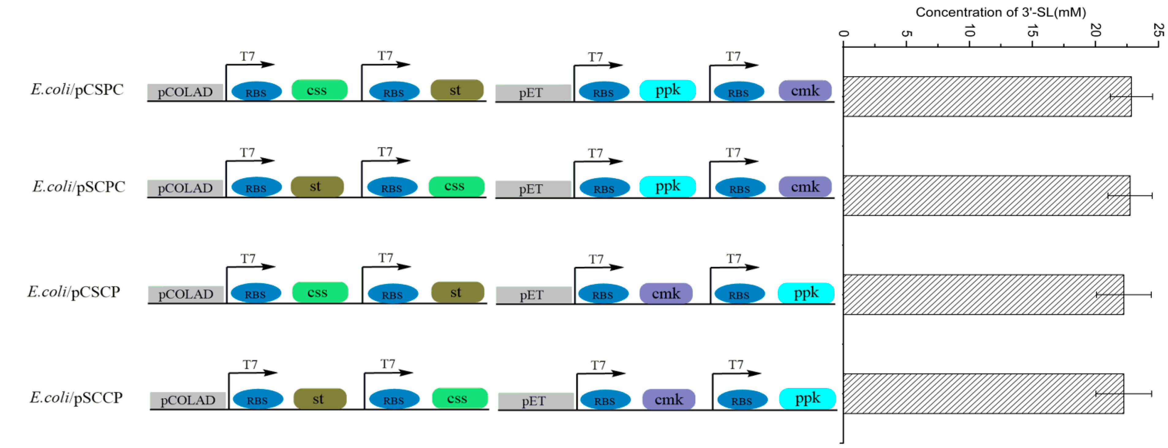 Processes 09 00932 g002