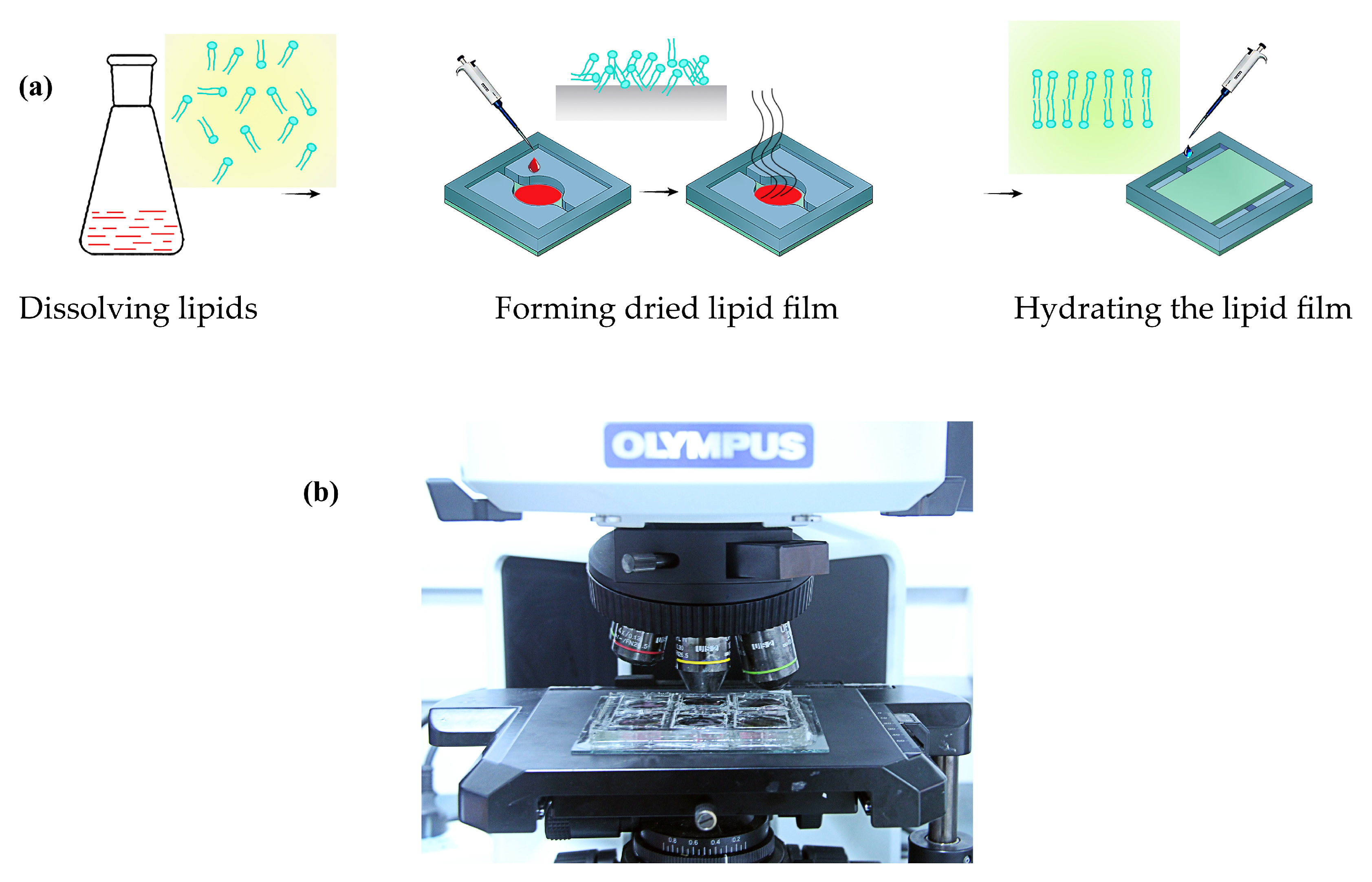 Processes 09 00945 g001