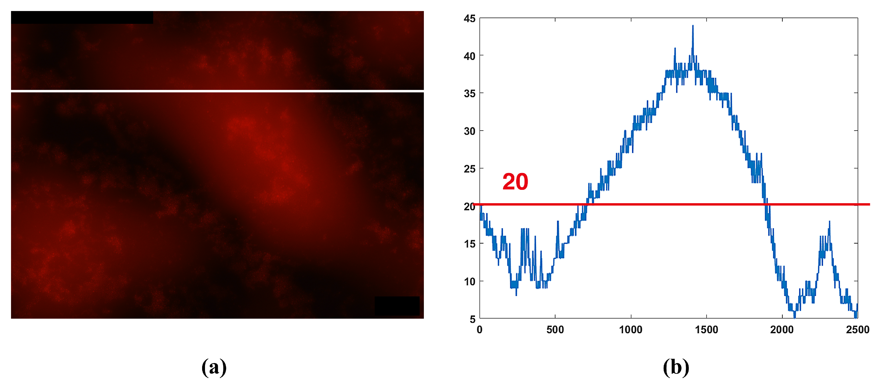 Processes 09 00945 g002