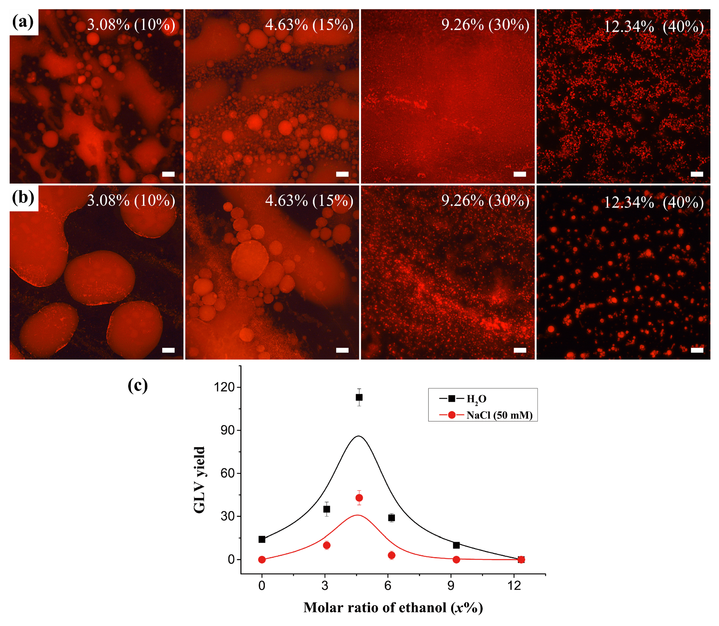 Processes 09 00945 g005
