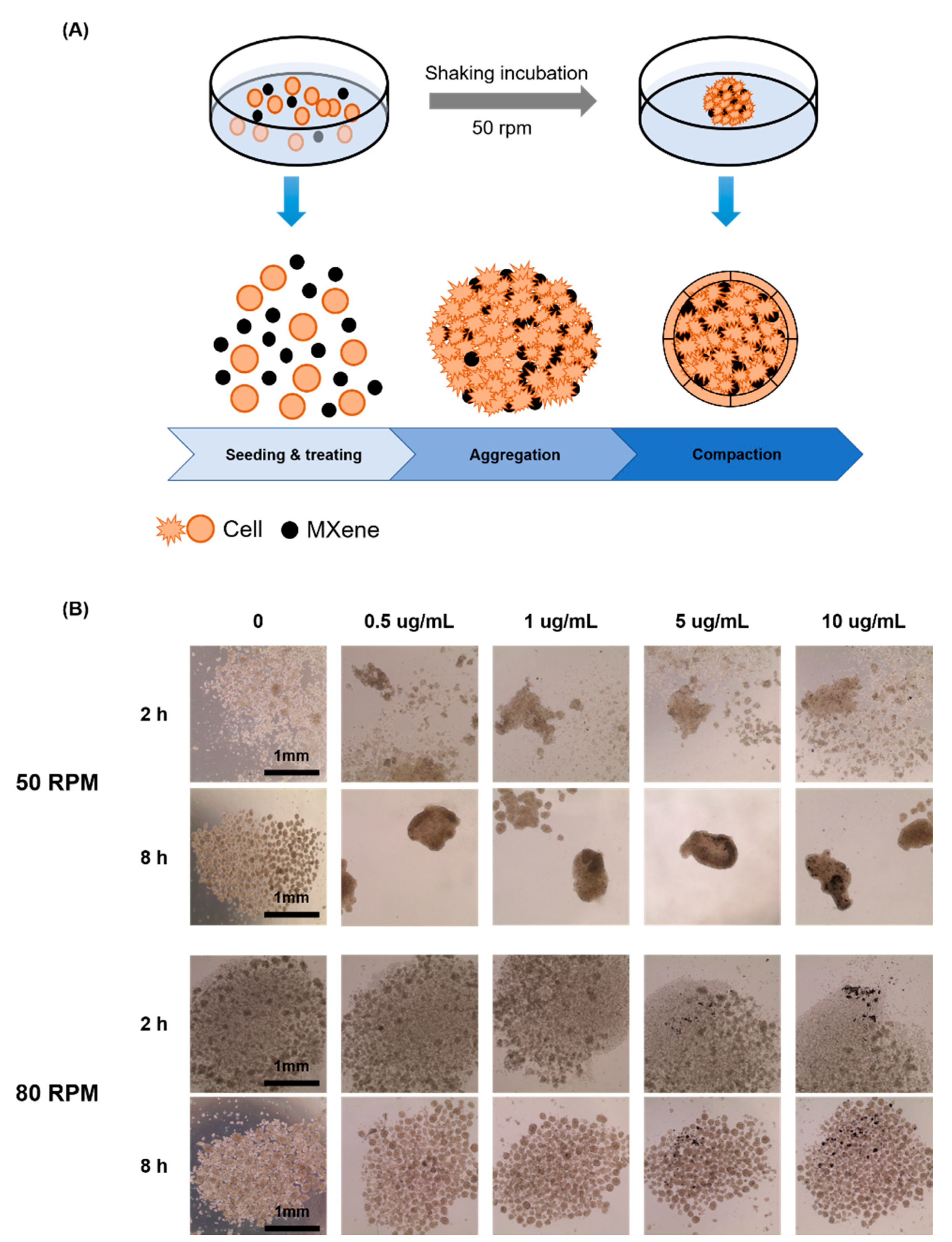 Processes 09 00957 g001 Processes 09 00957 g001