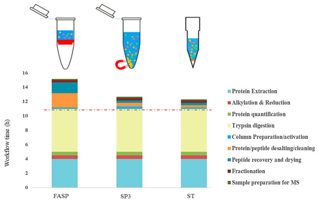 Processes 09 00983 g001