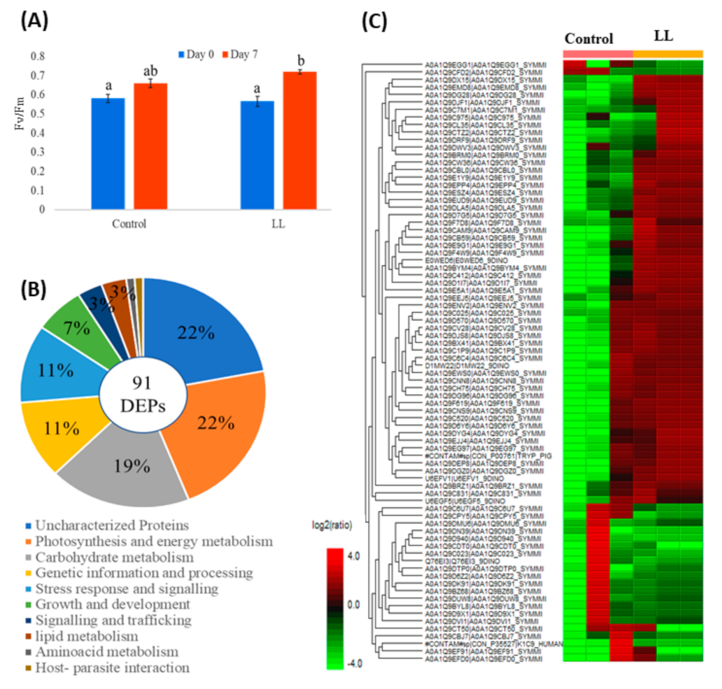 Processes 09 00983 g004