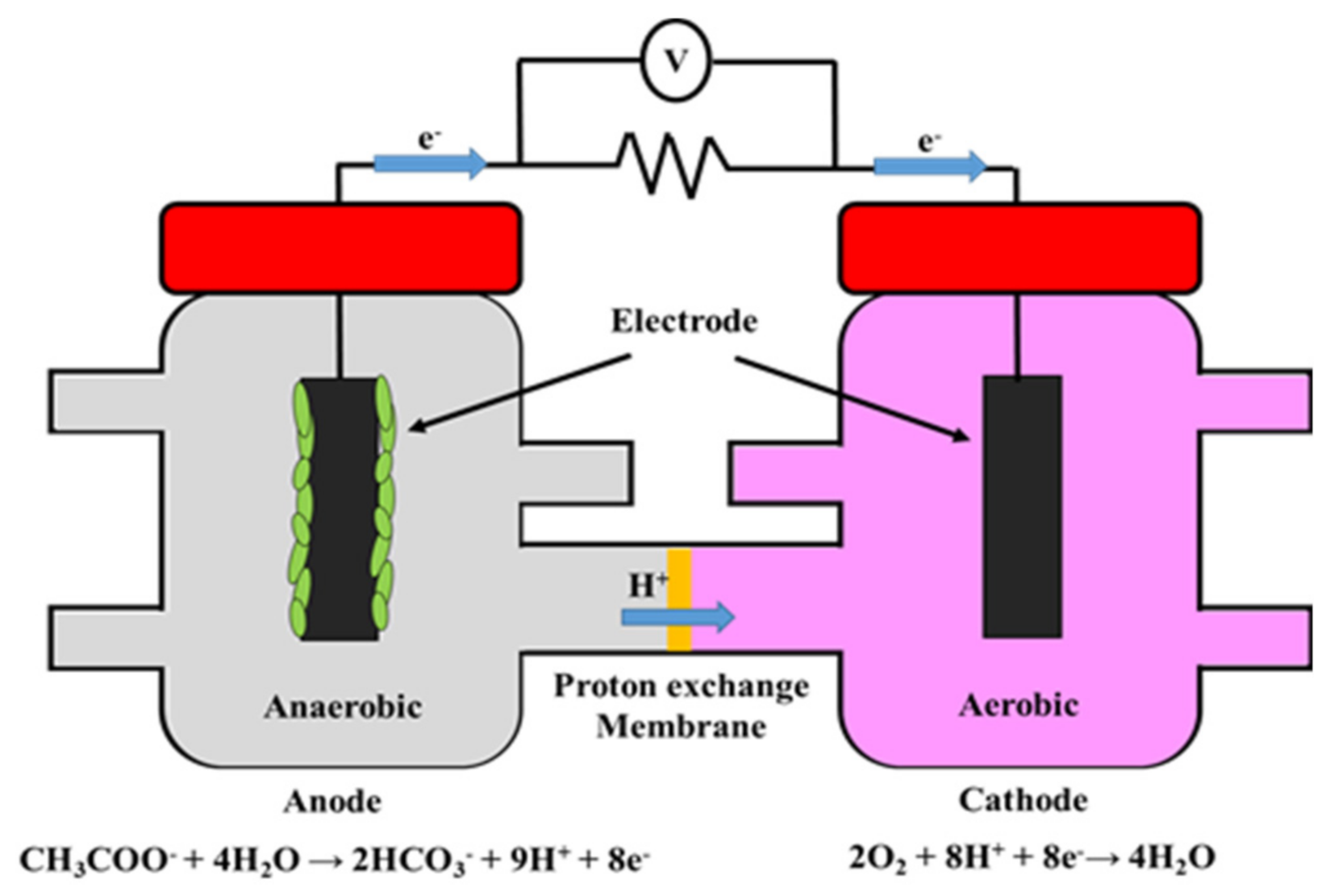 Processes 09 00985 g001