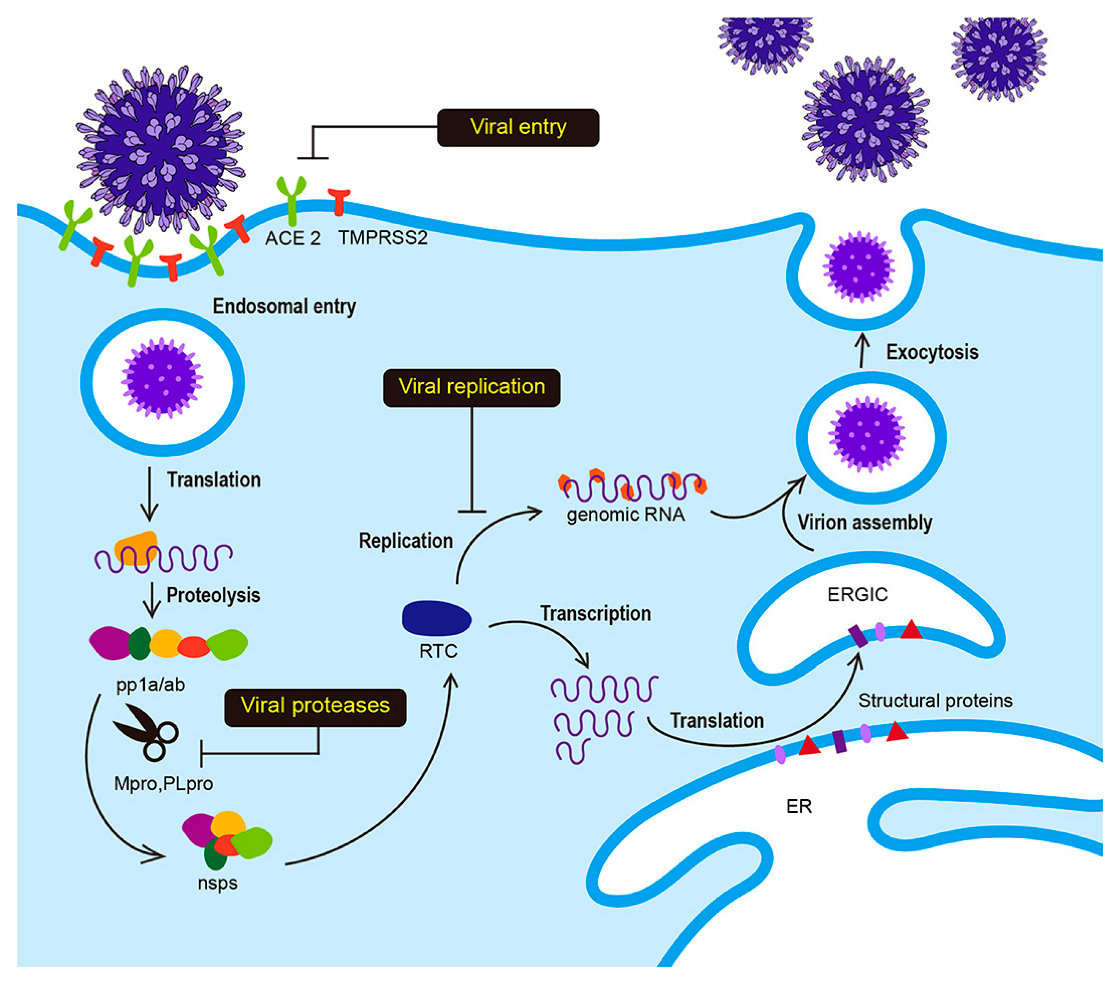 Processes 09 01004 g001