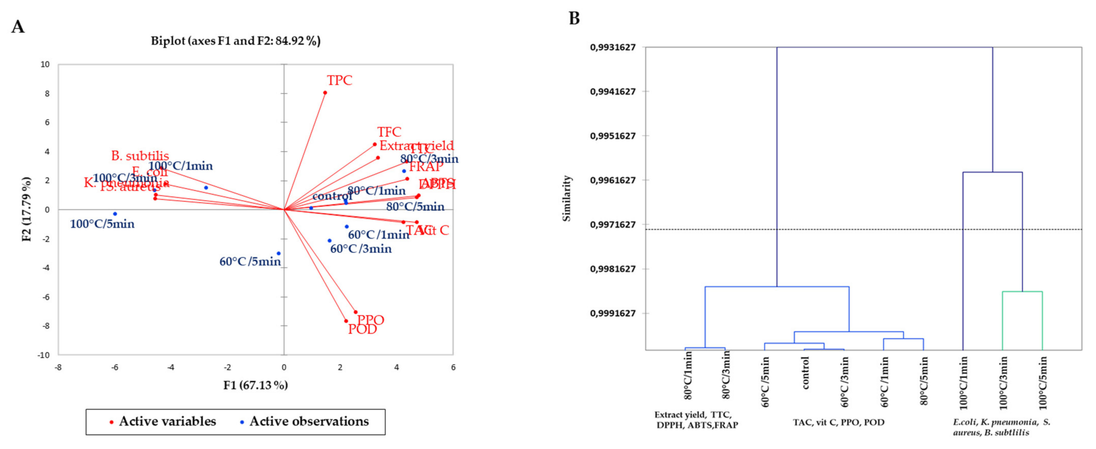 Processes 09 01012 g001