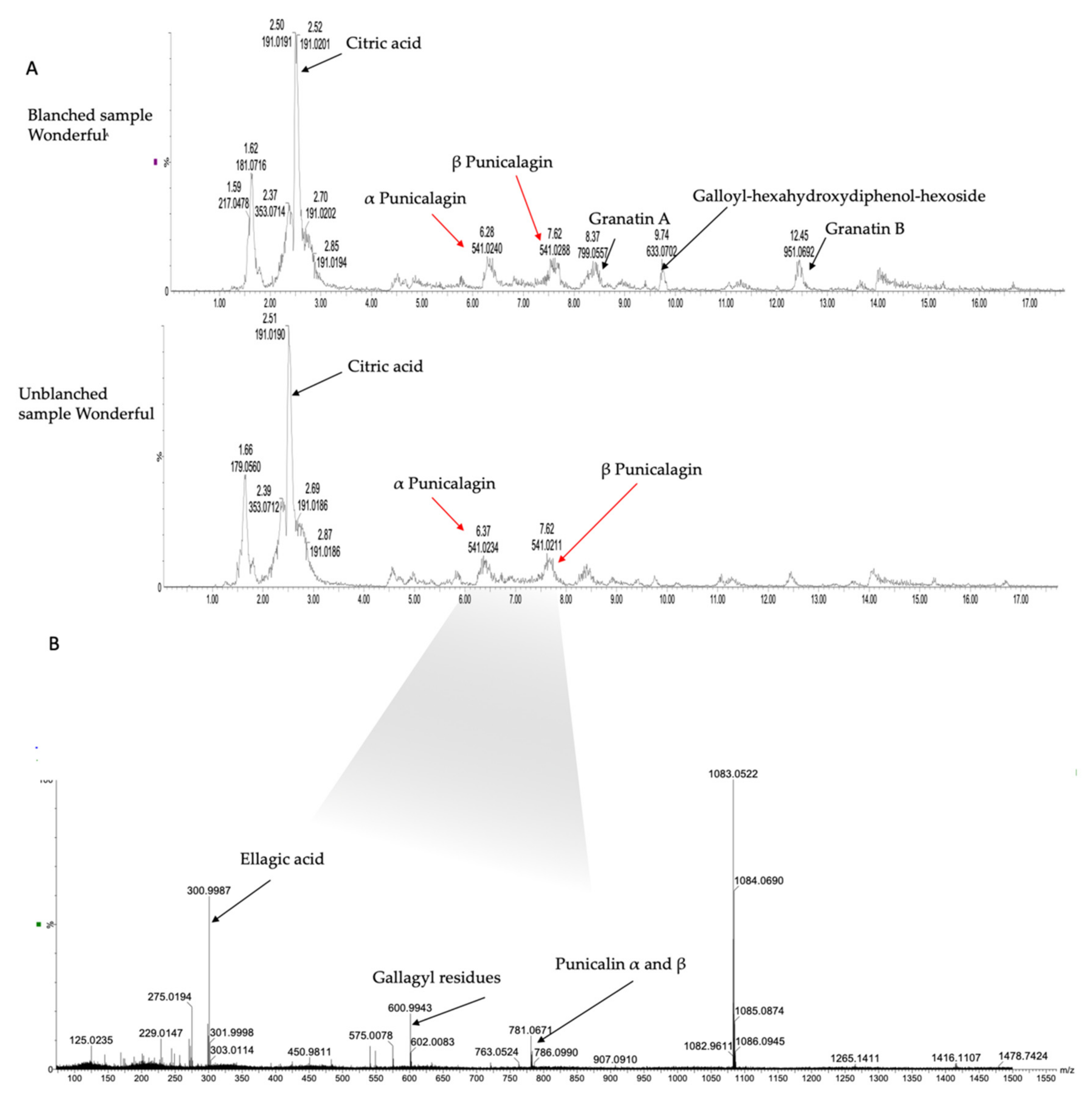 Processes 09 01012 g002