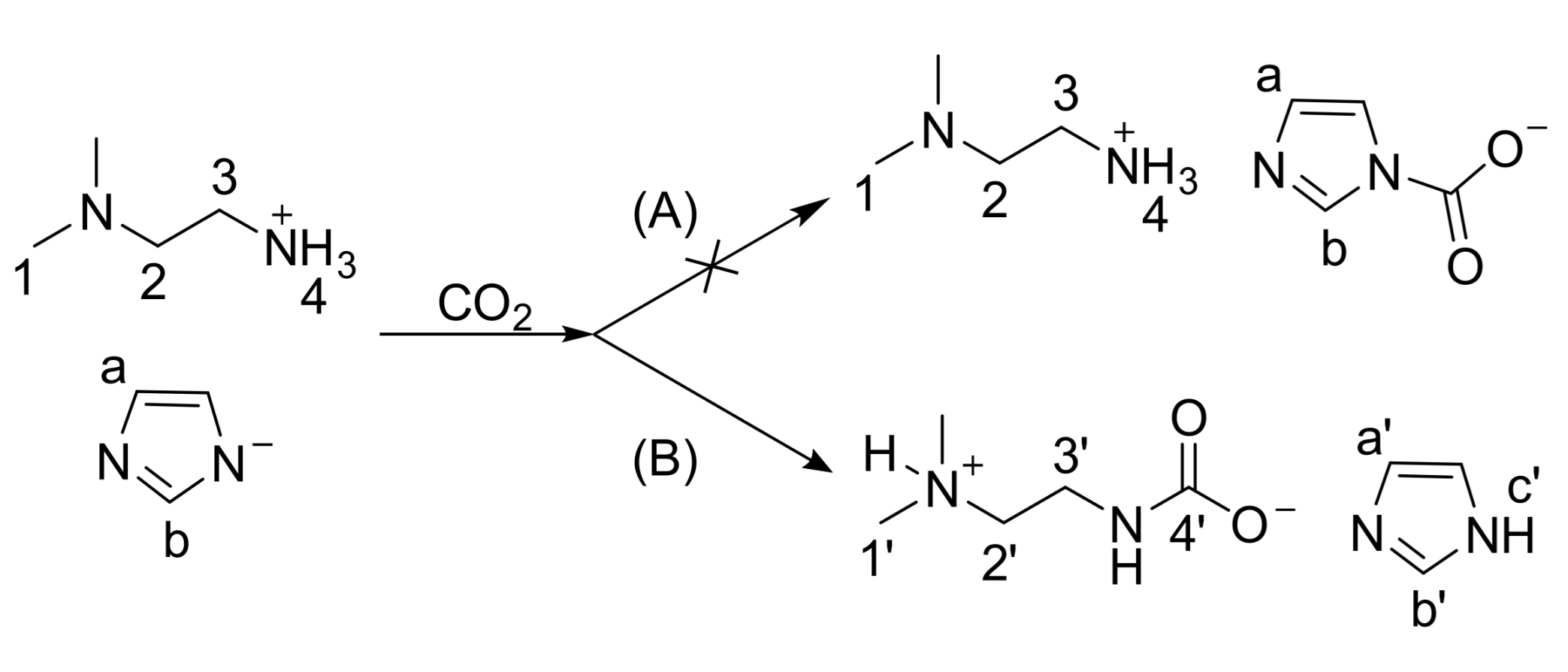 Processes 09 01023 sch001 Processes 09 01023 sch001