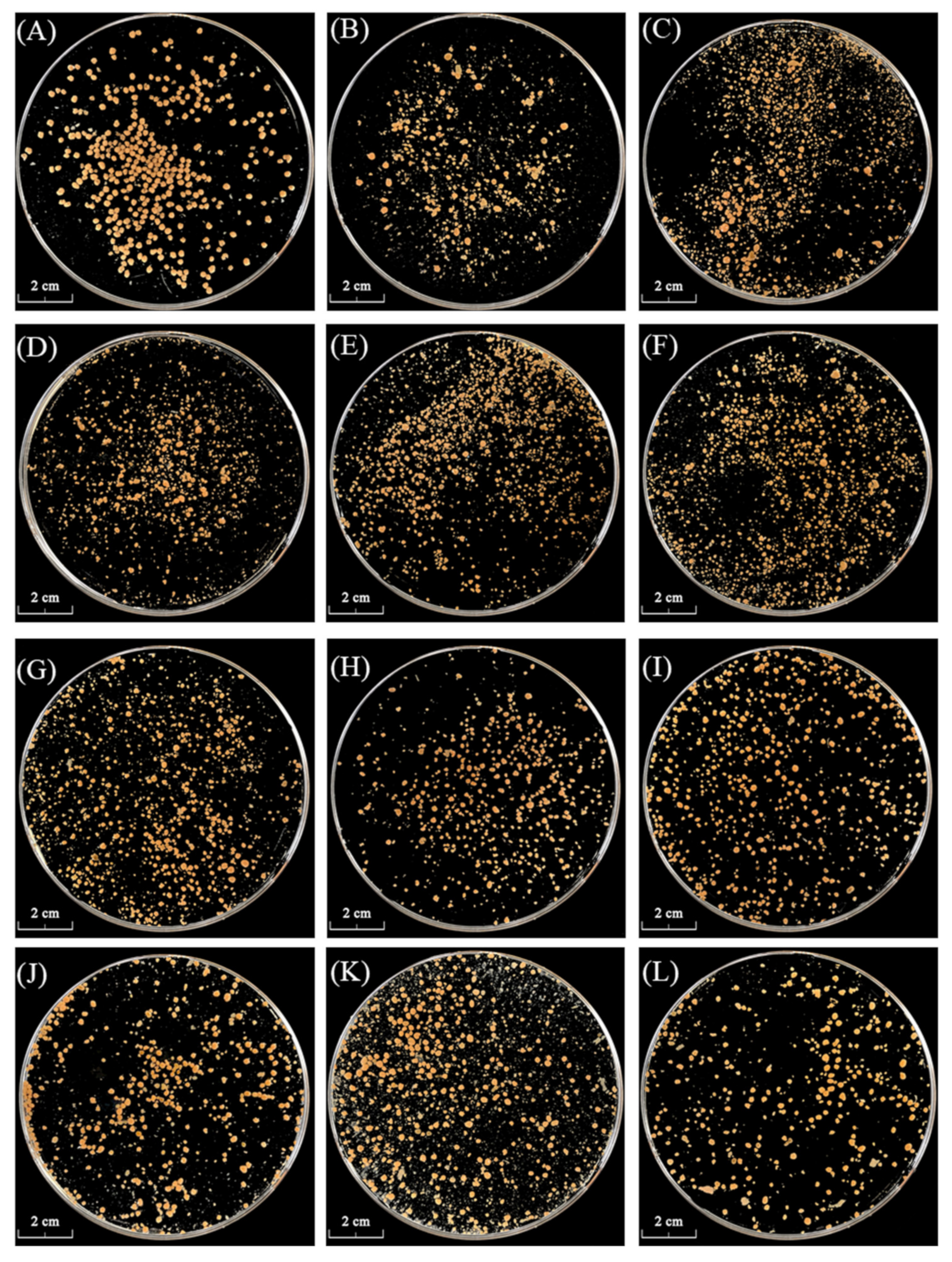 Processes 09 01024 g002
