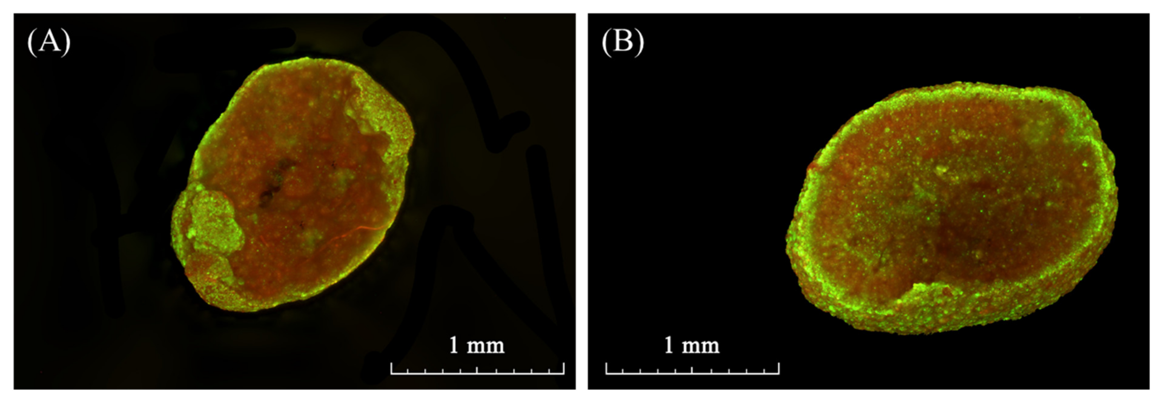 Processes 09 01024 g006