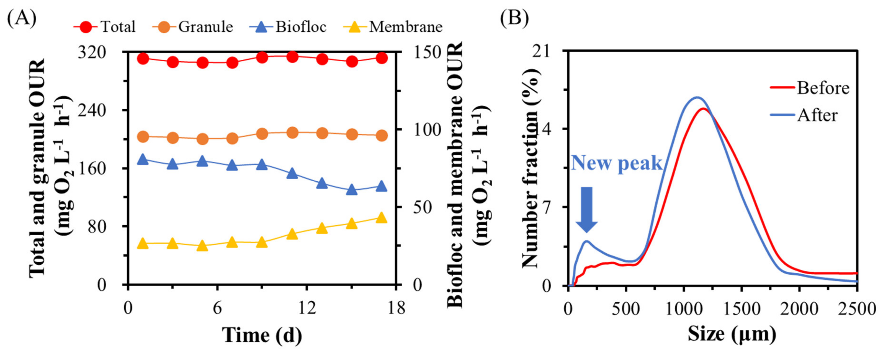 Processes 09 01024 g008