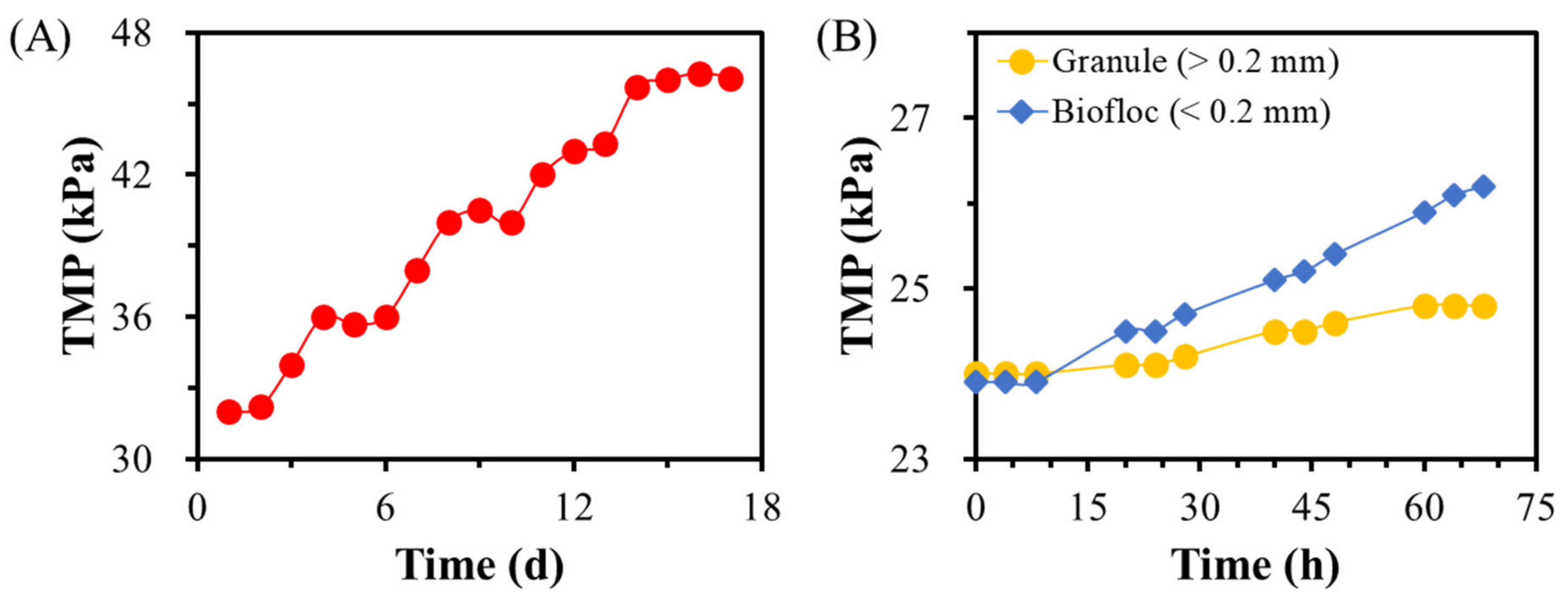 Processes 09 01024 g010