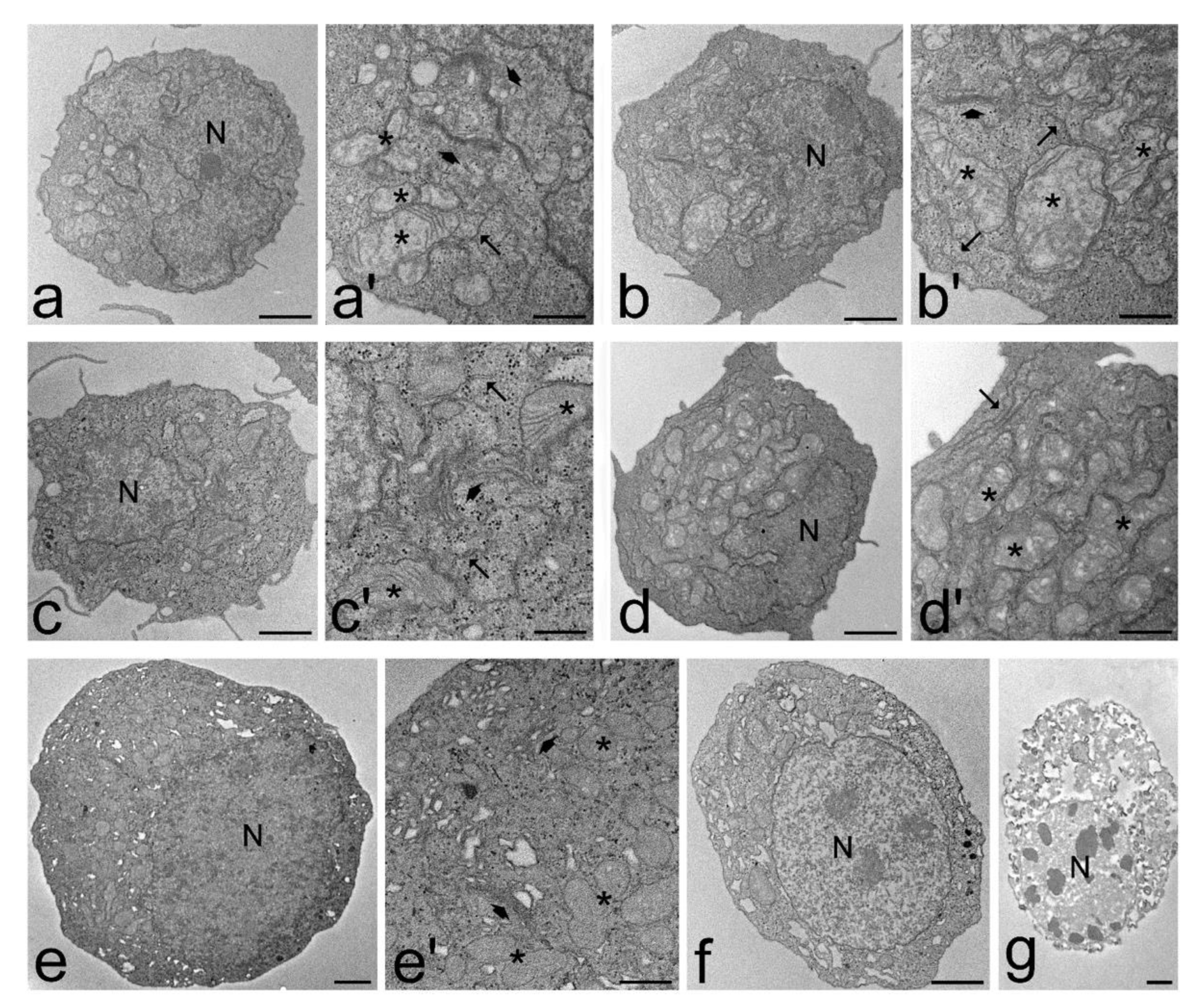 Processes 09 01030 g003