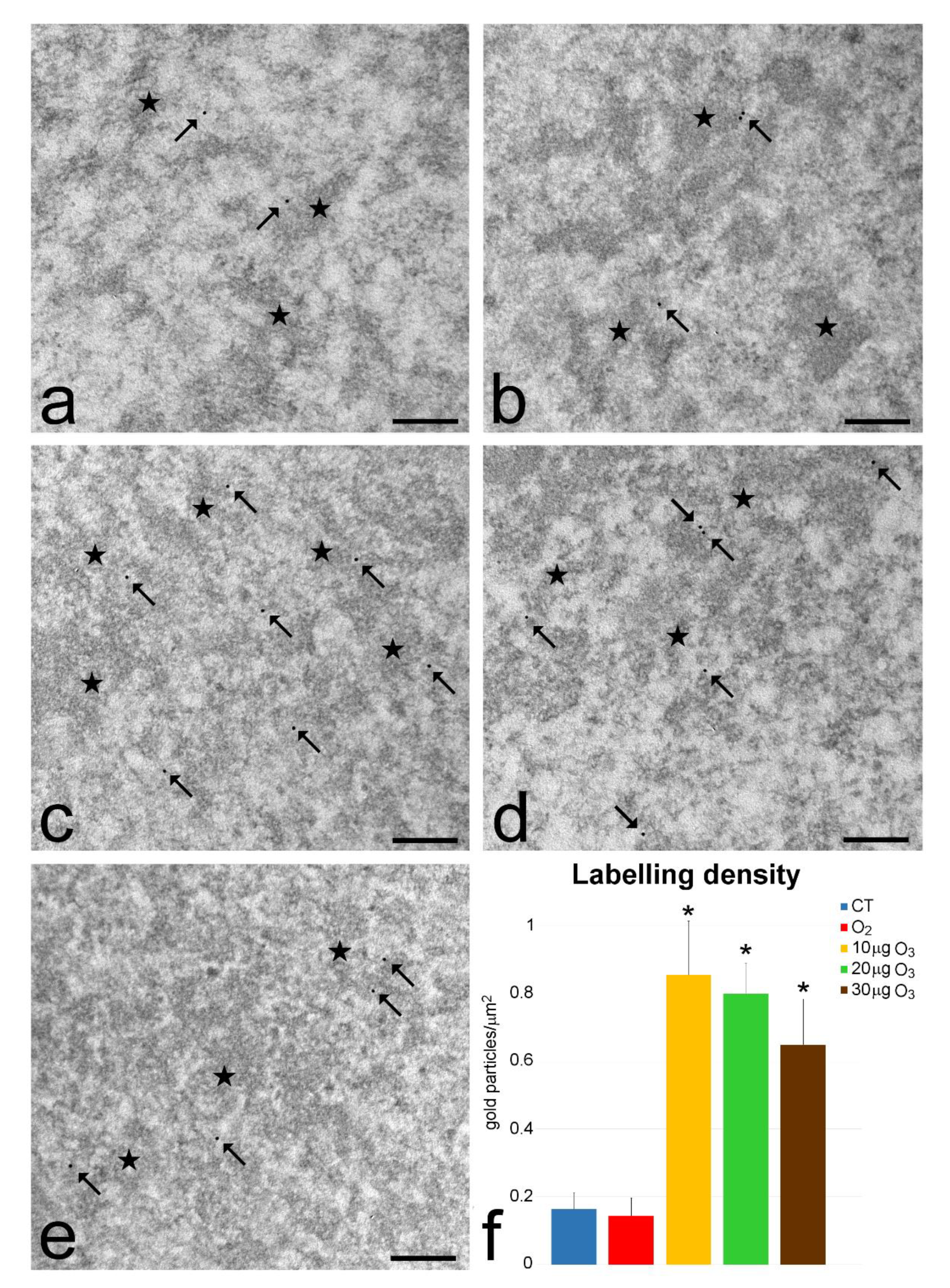 Processes 09 01030 g004