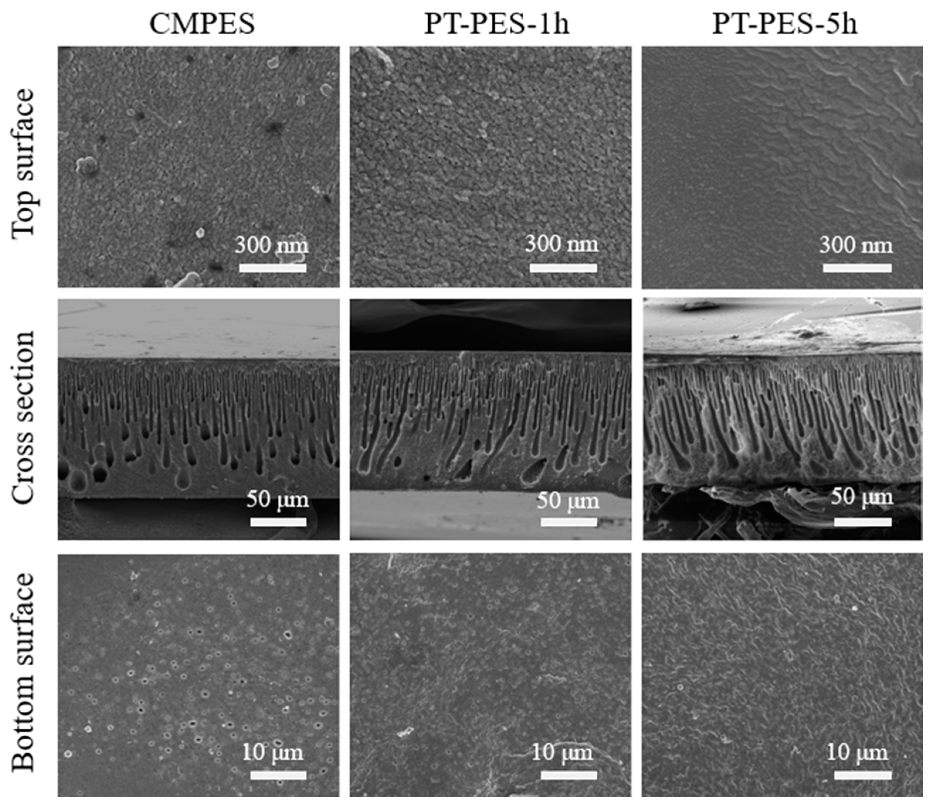Processes 09 01049 g004
